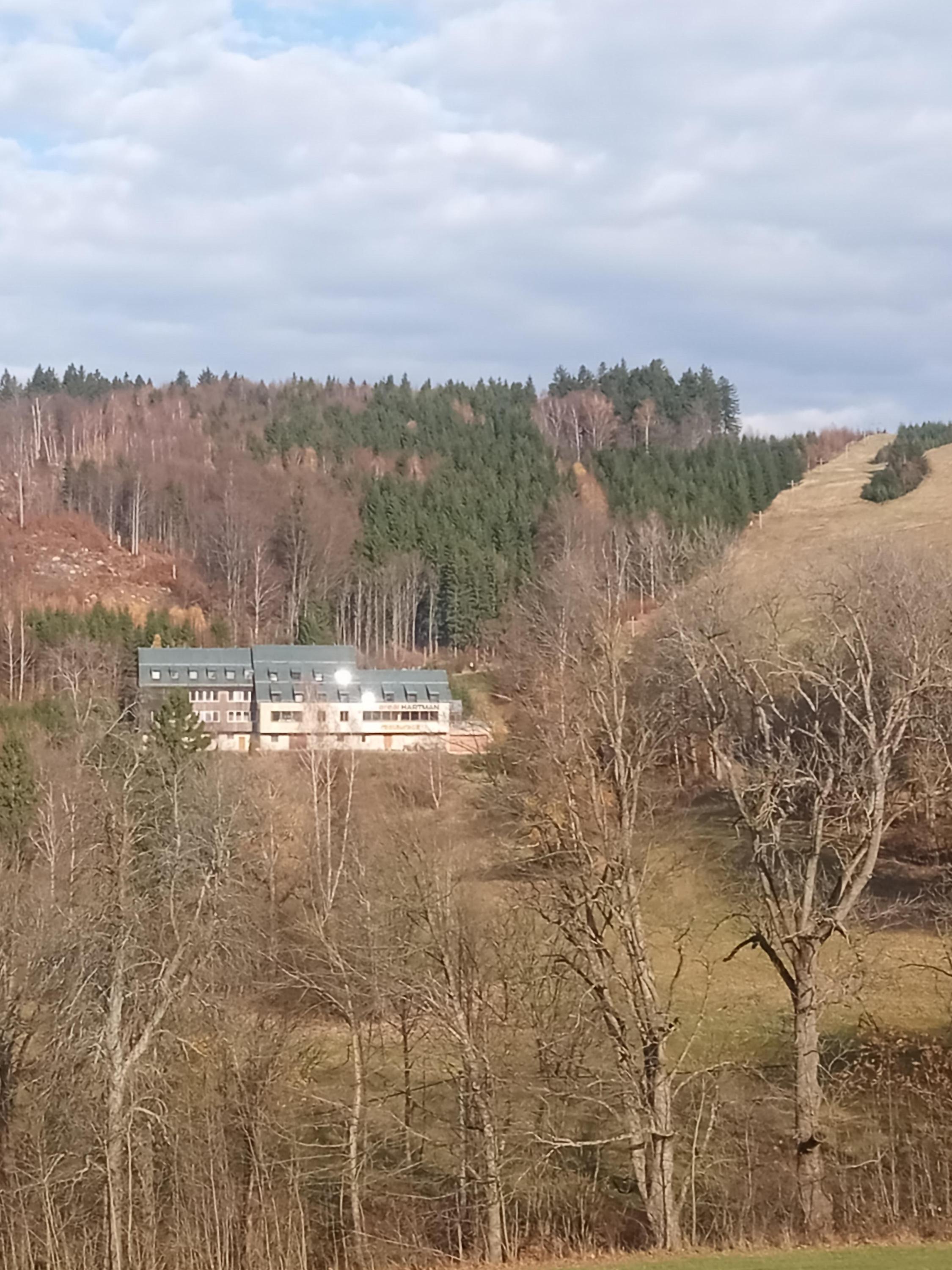 Snowbear.cz - Půjčovna lyží foto 2