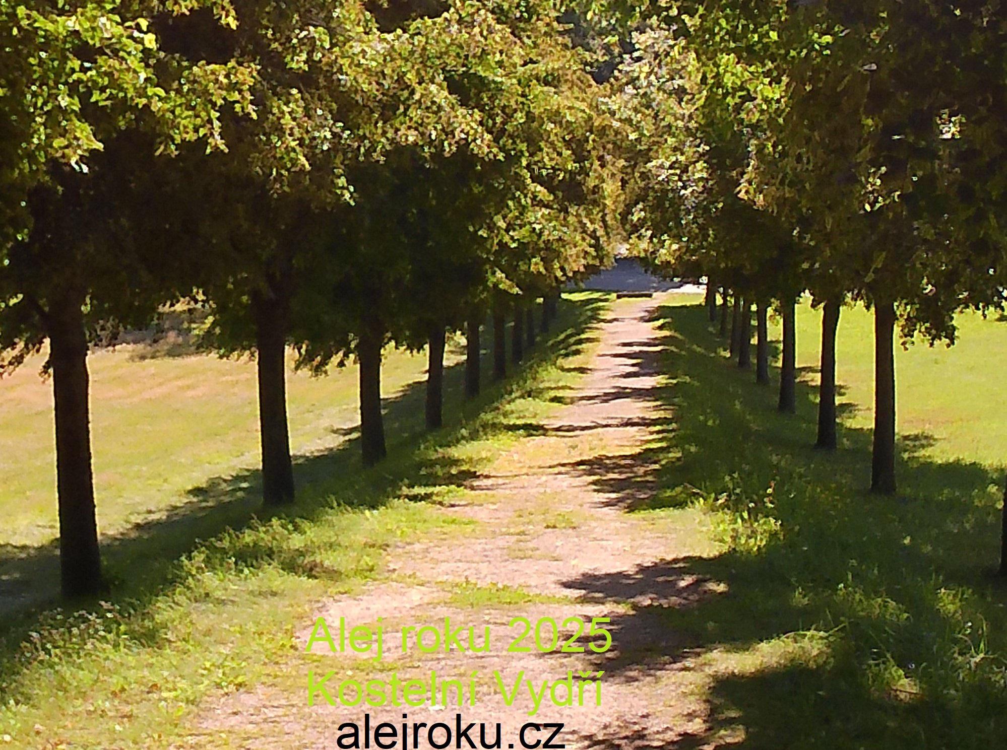 Kostelní Vydří - obecní úřad foto 4