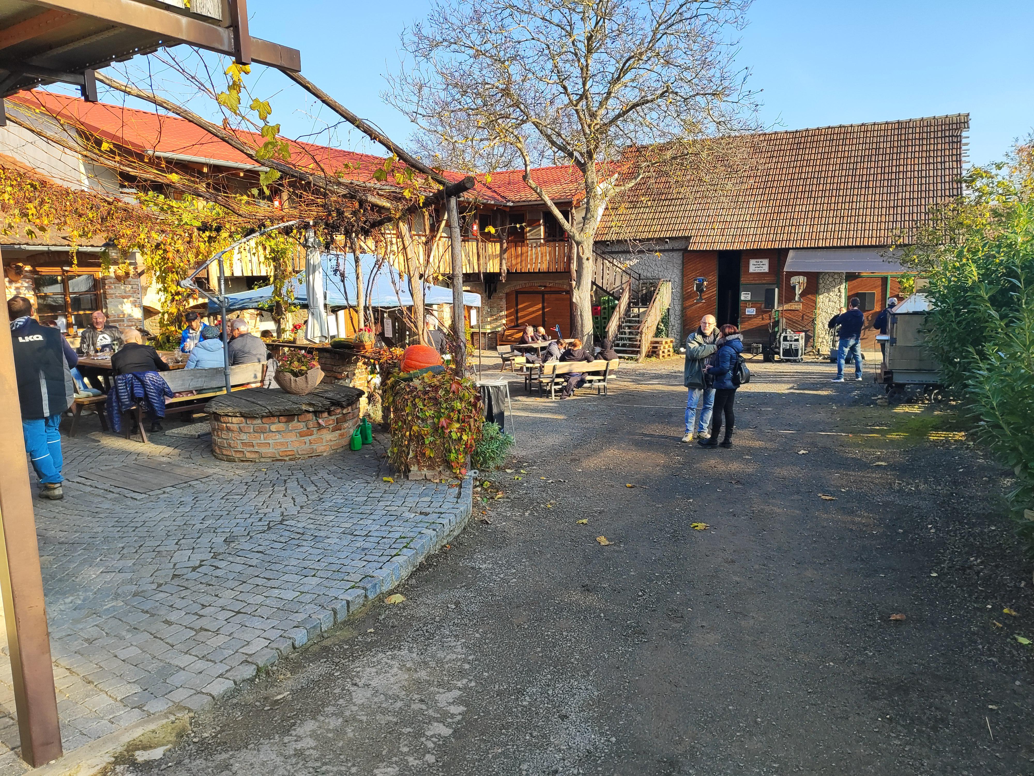 Jevíněvské vinařství foto 4