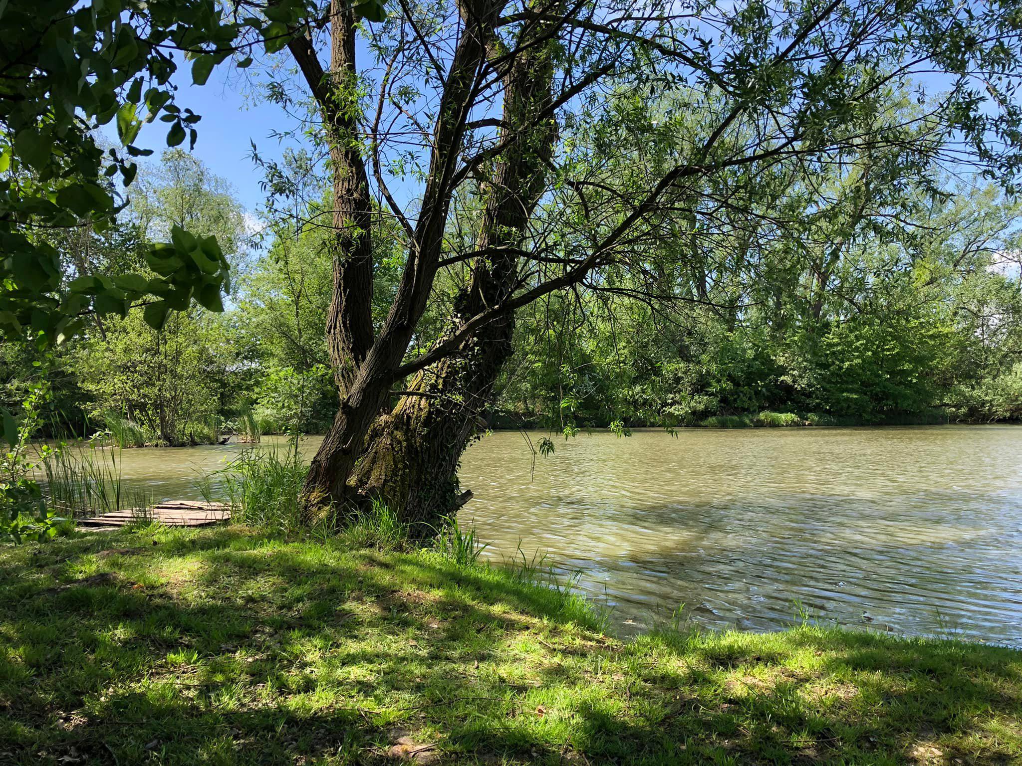 Chata Liščí Jezero I foto 6