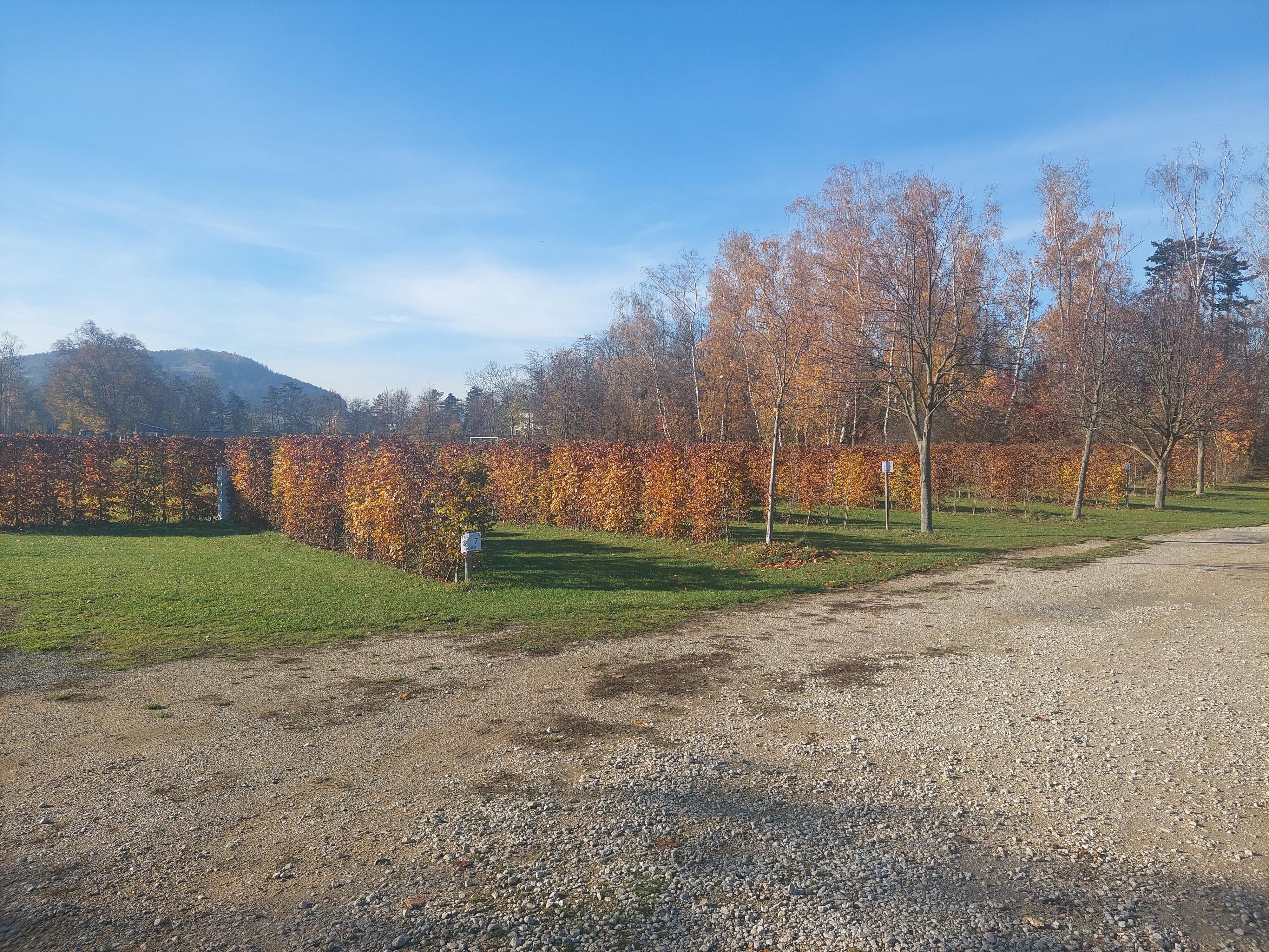 Stellplatz - Tetín u Berouna foto 3