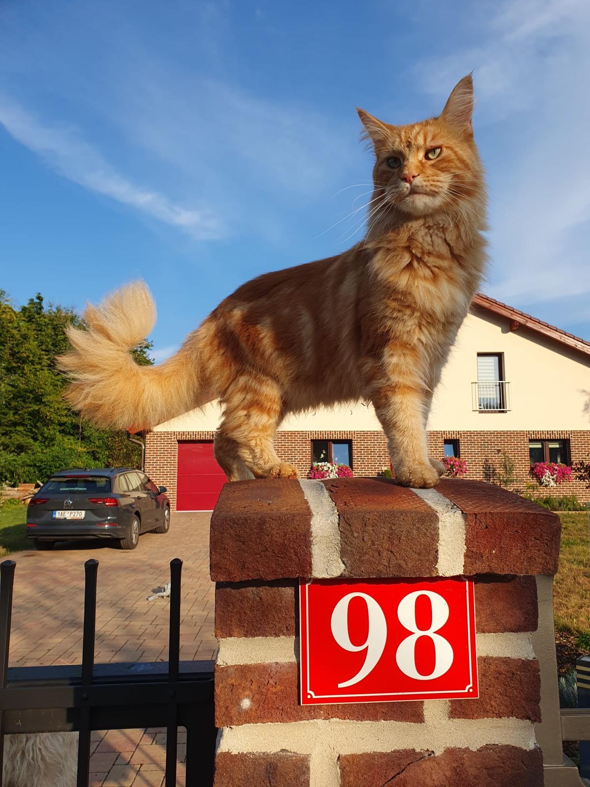 Ing. Karel Zacko, daňový poradce foto 2