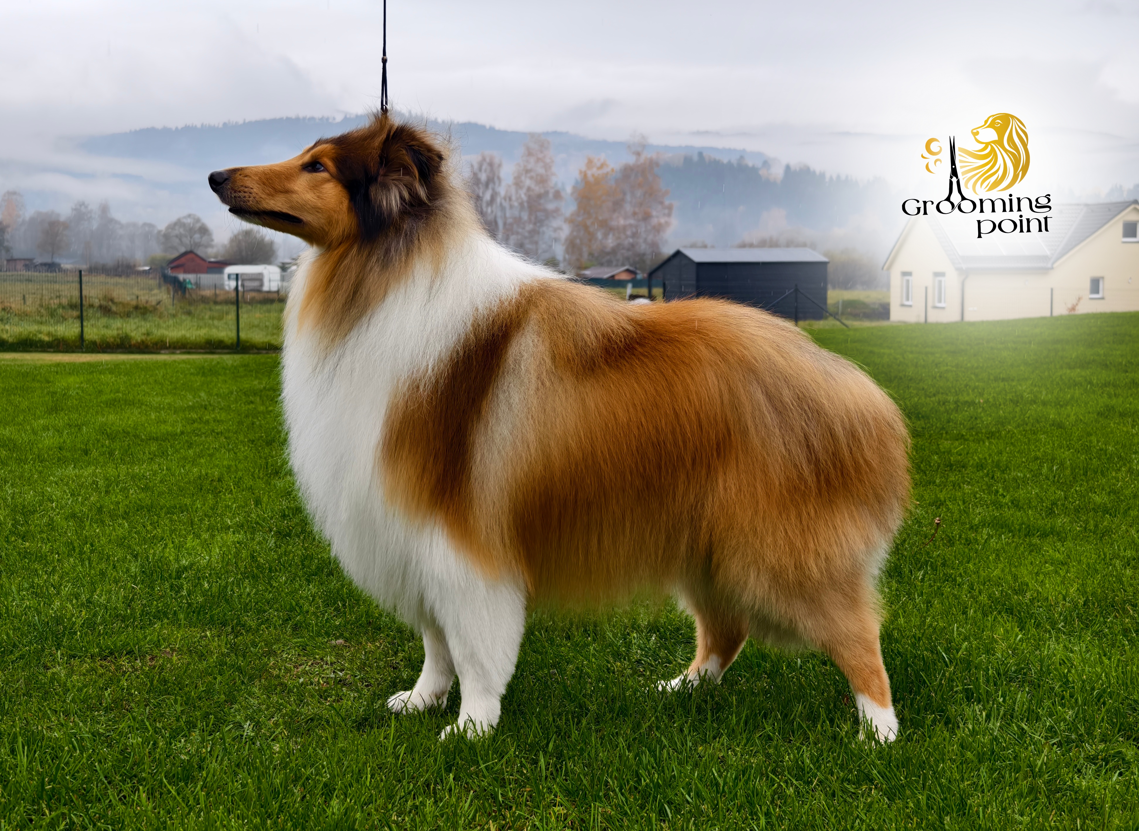 Grooming point foto 2