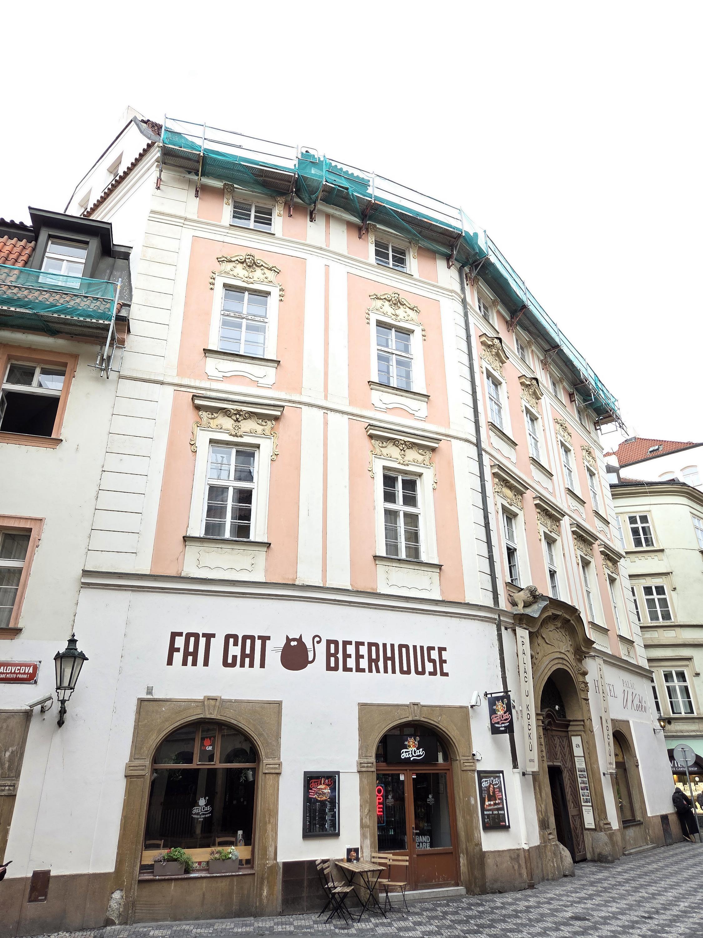 Fat Cat - Oldtown foto 5