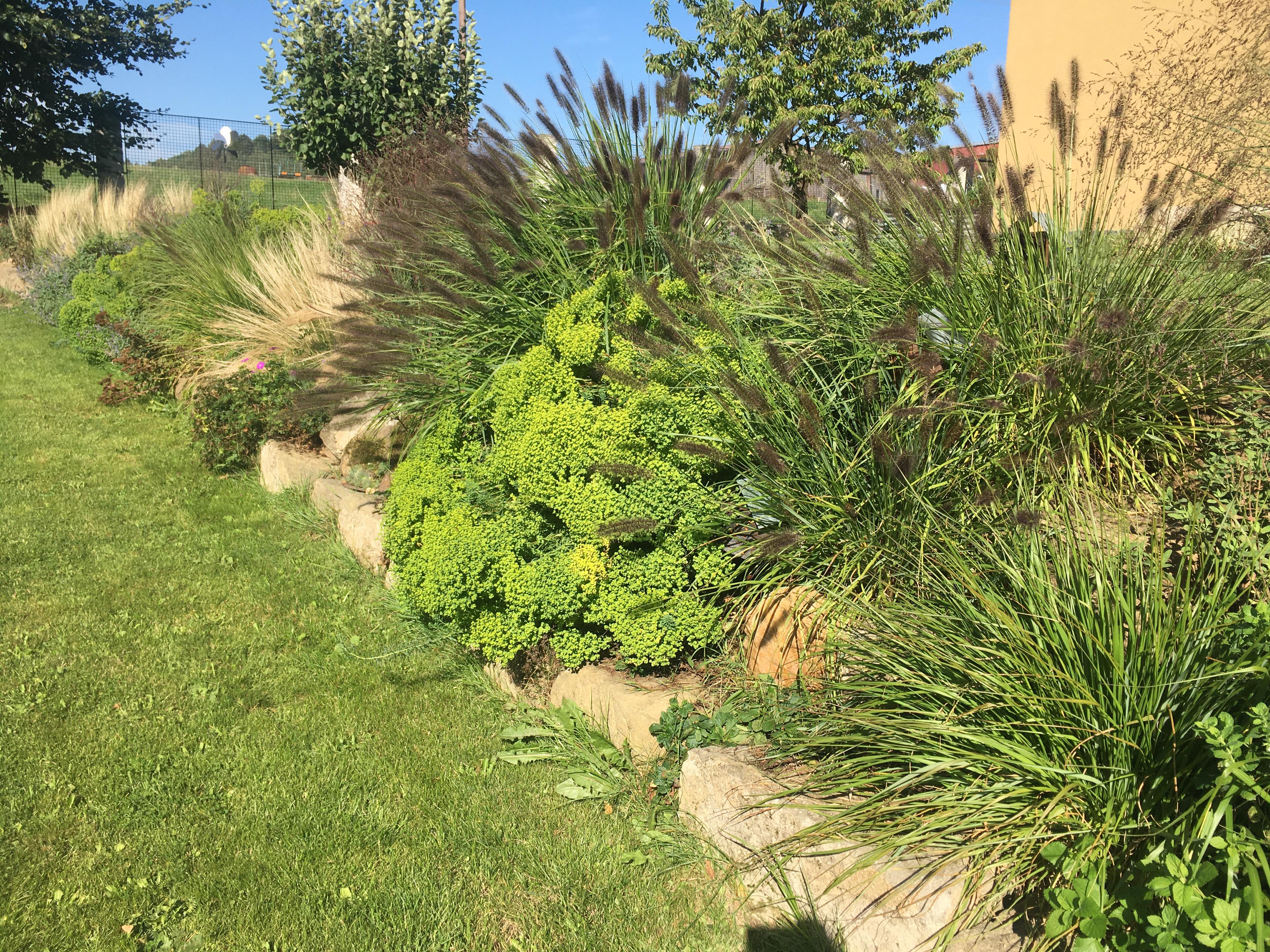 Martin Borecký - TRVALKY A ZAHRADY foto 4