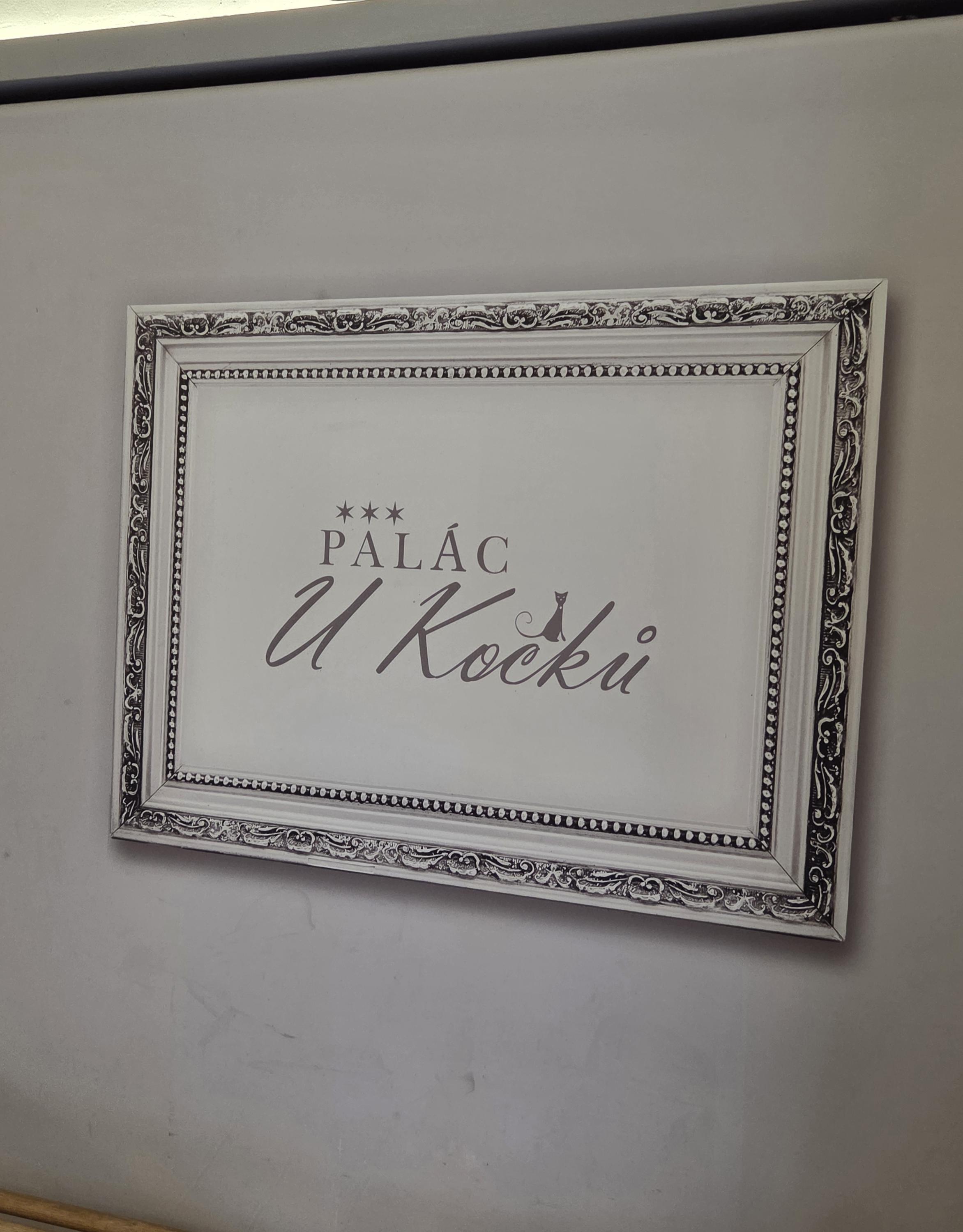 Hotel Palác U Kočků by Adrez foto 5