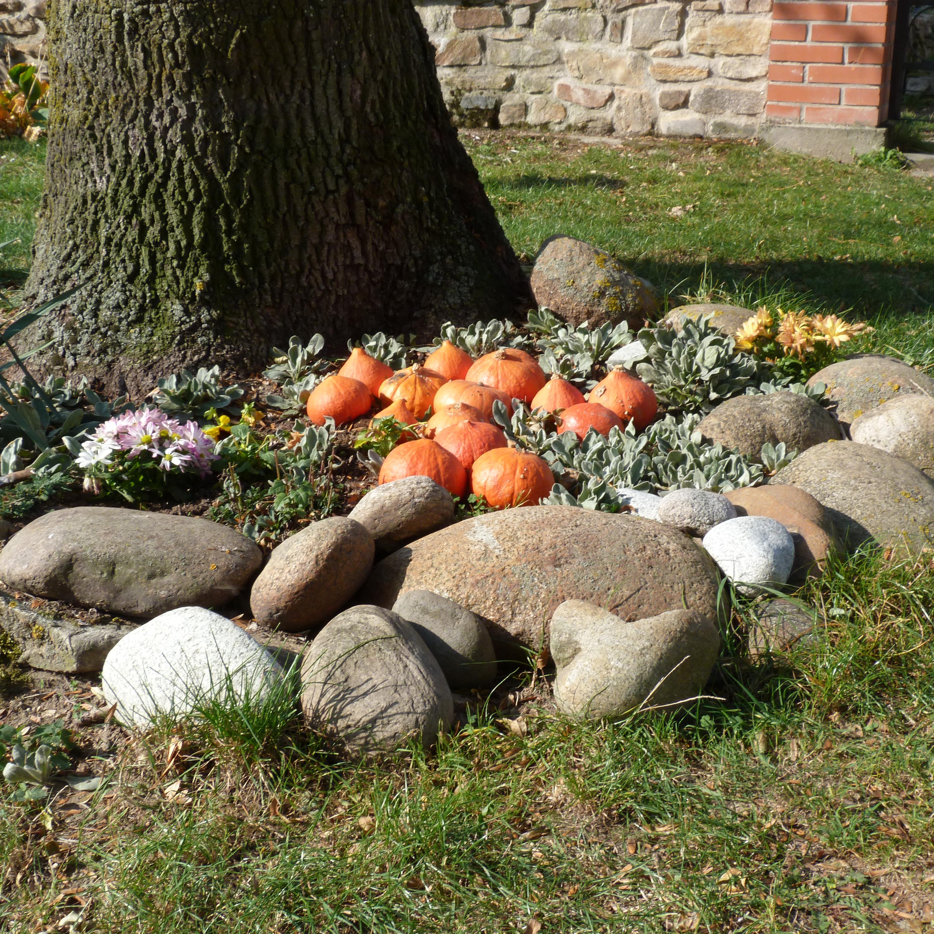 Farma Krasoňovice foto 3