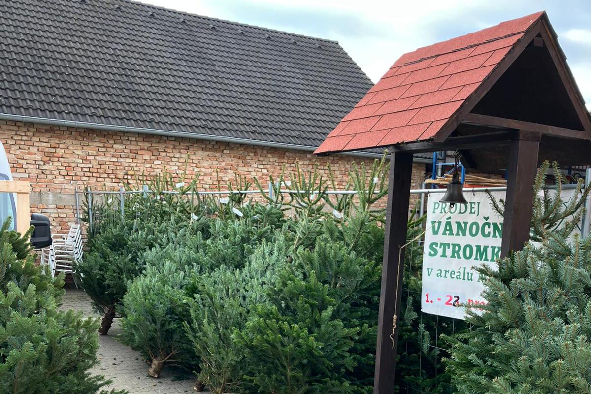 Vánoční stromkárna