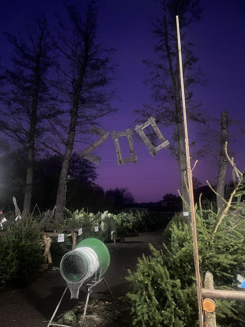 Prodej vánočních stromků - ZOO farma Bohatice foto 4
