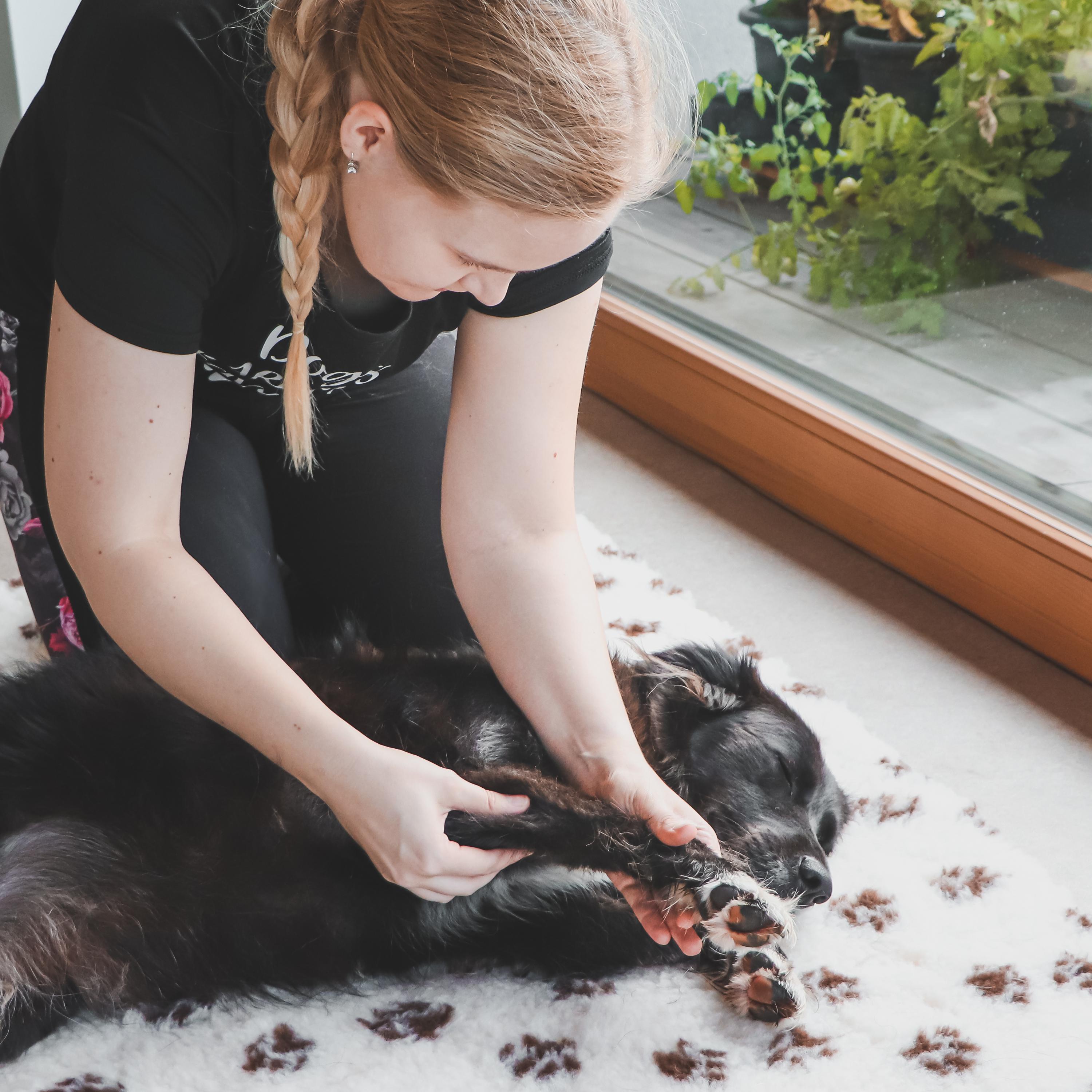 Terapie Tlapkami foto 3