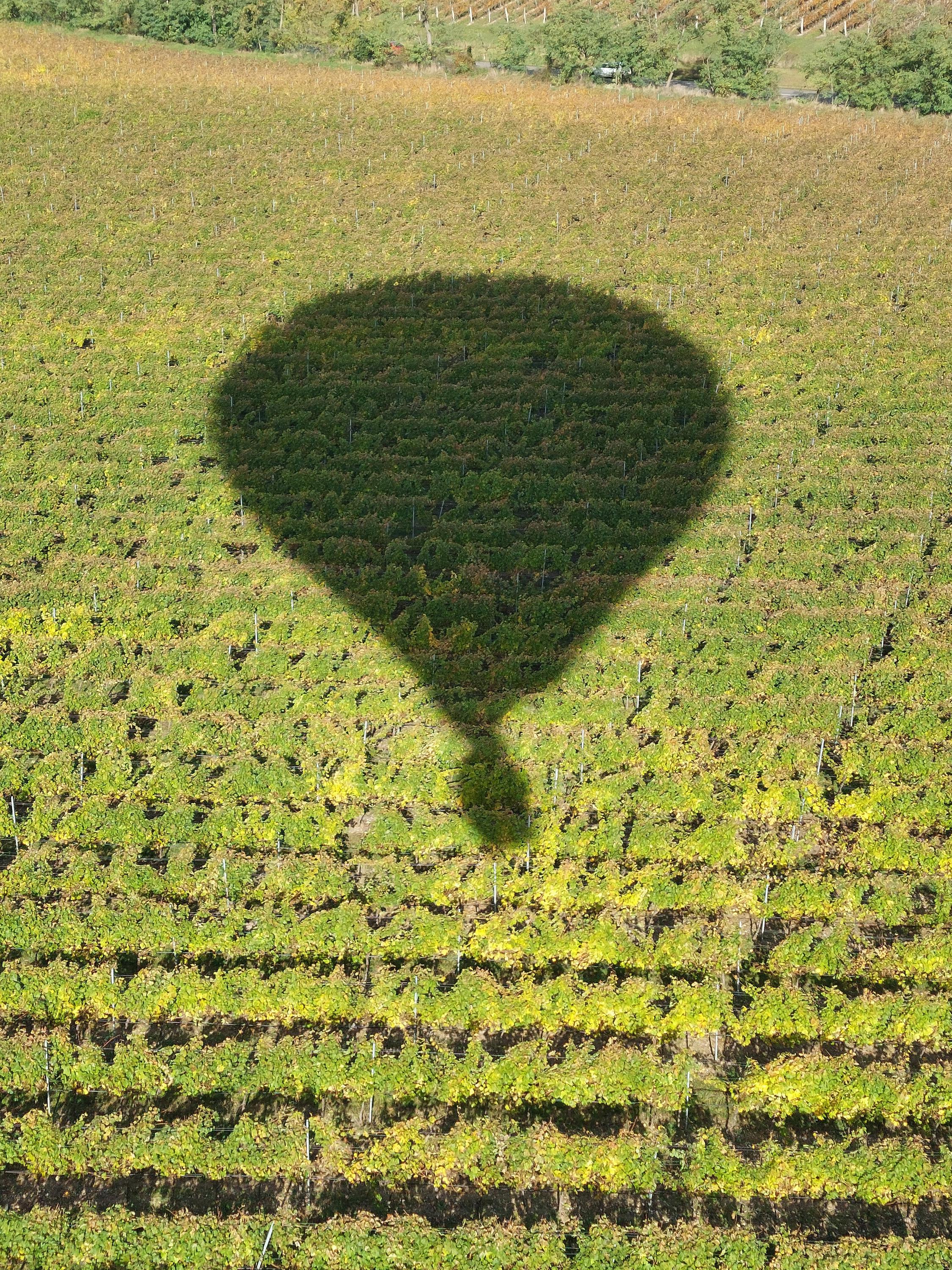 Ebalony.com foto 2