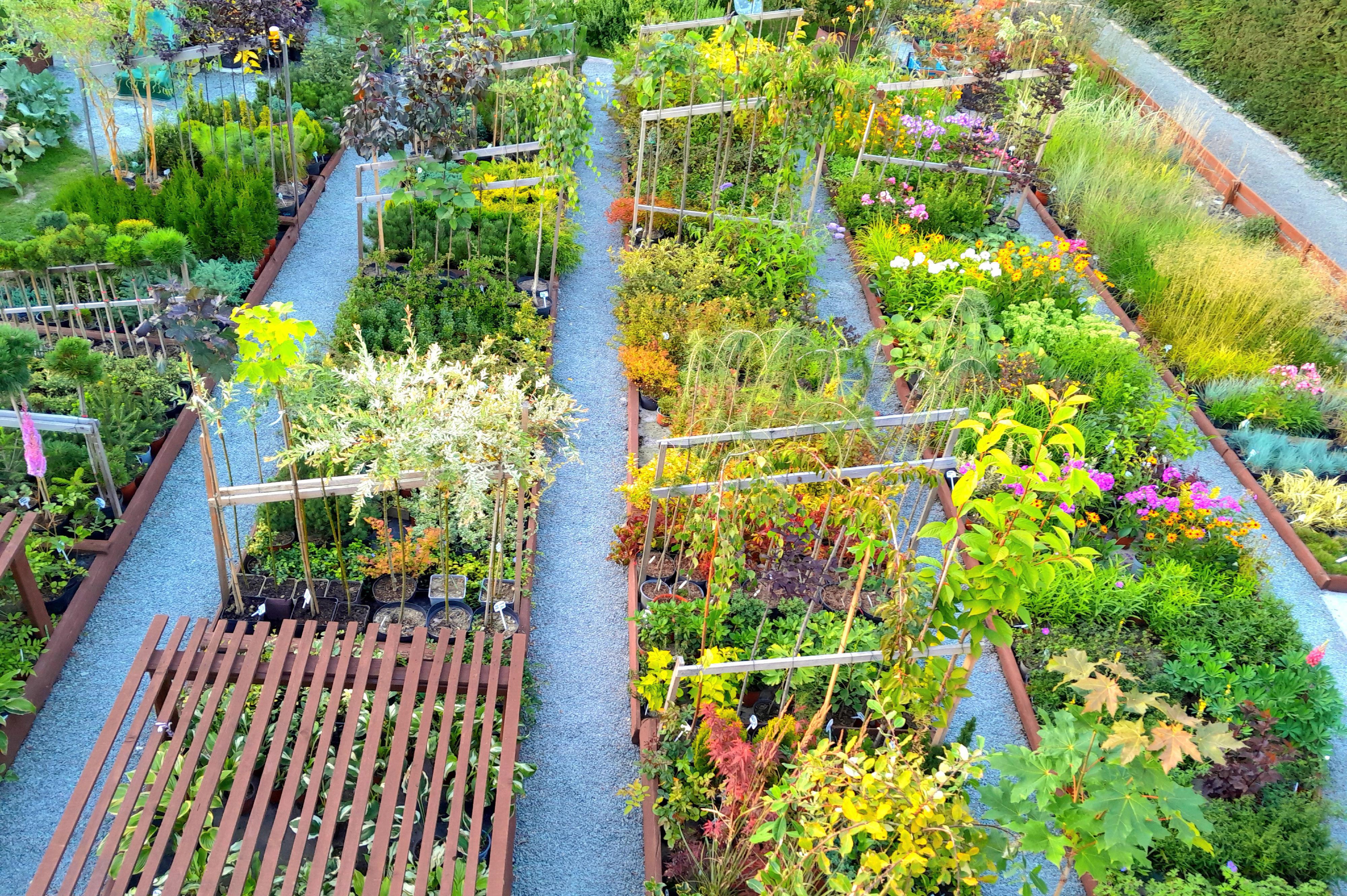 Zahradnická večerka Suchý - Miloš Trefný