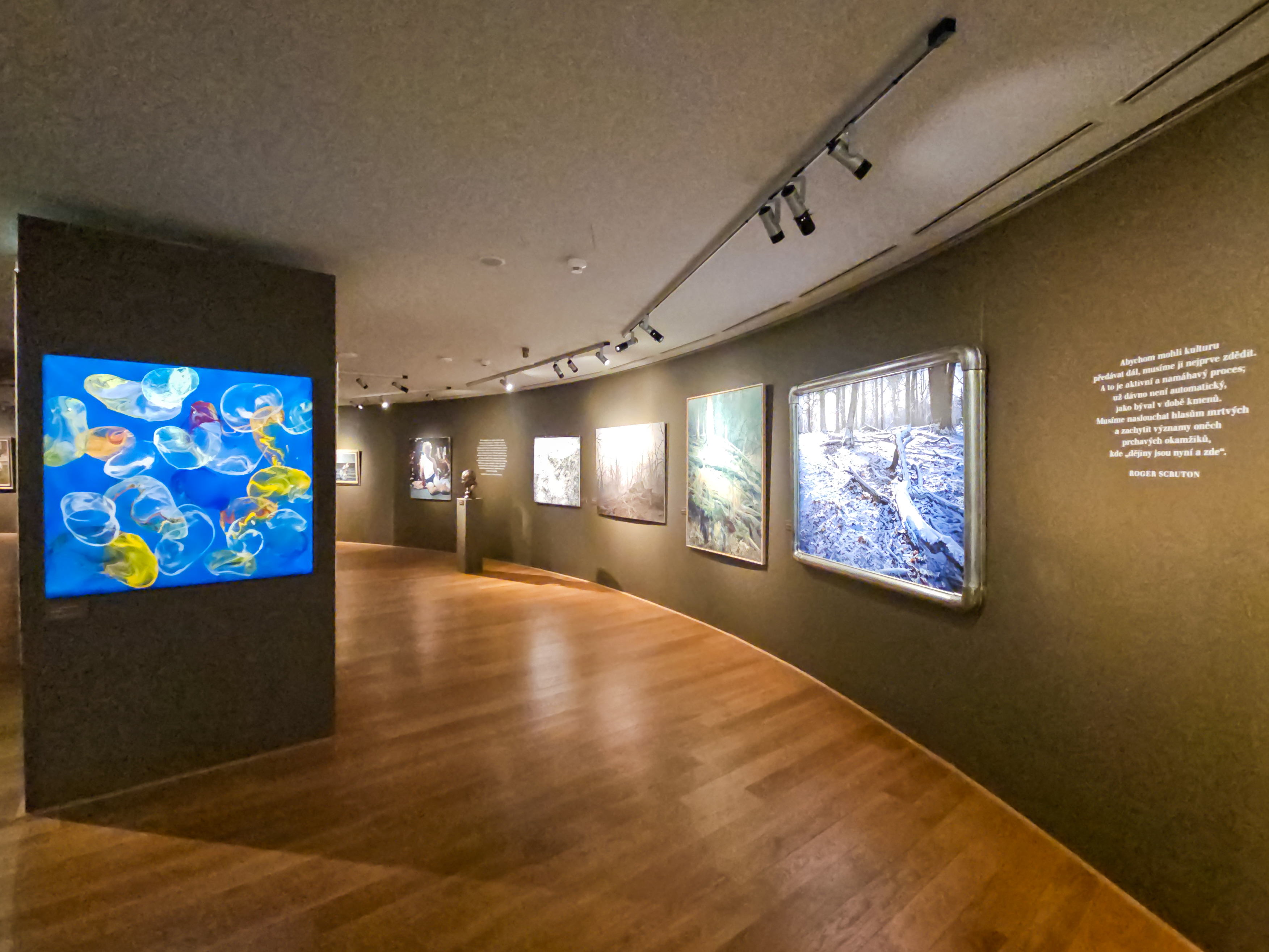 Galerie Kooperativy foto 2