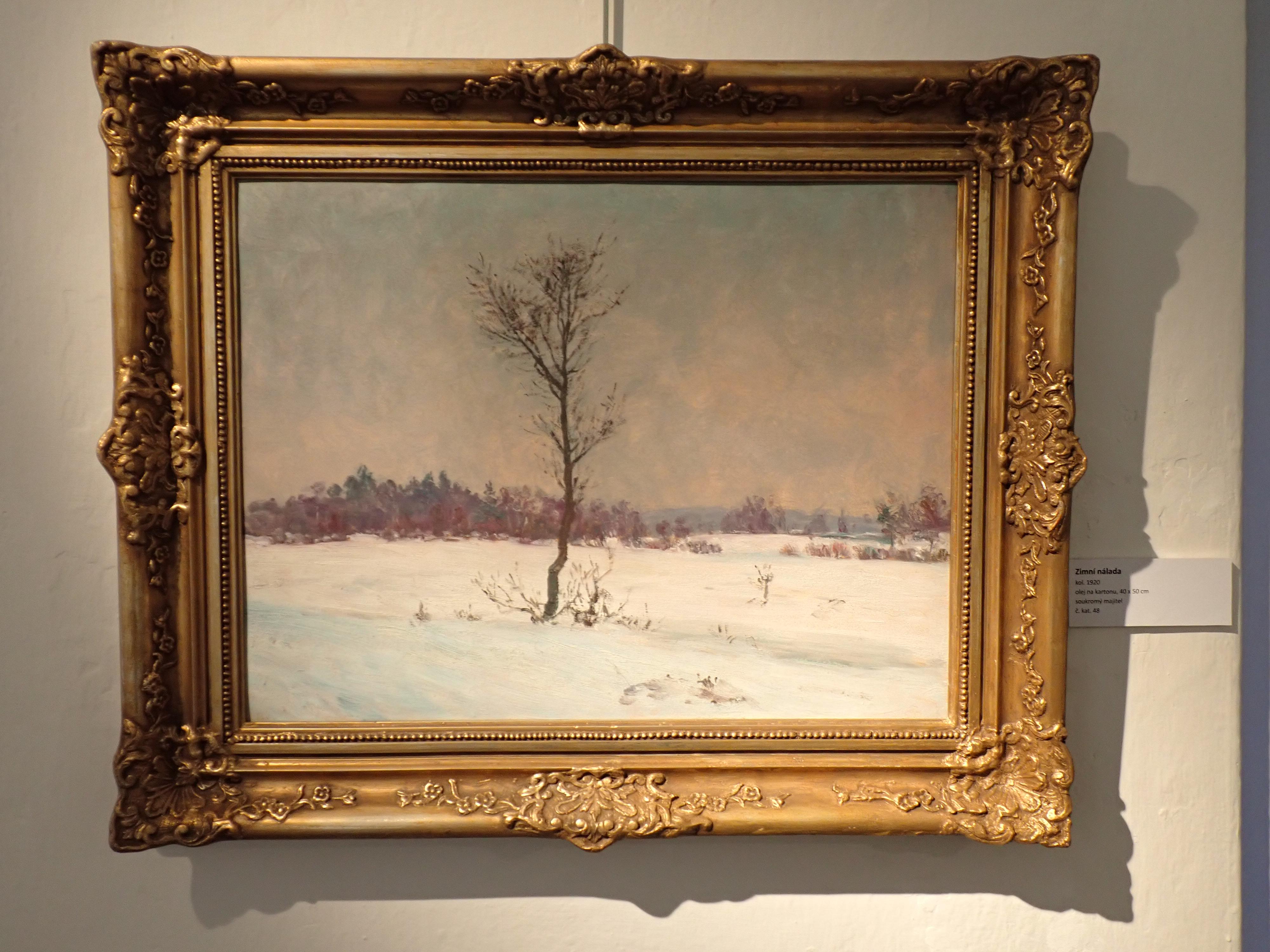 Městské muzeum a galerie Hlinsko foto 3