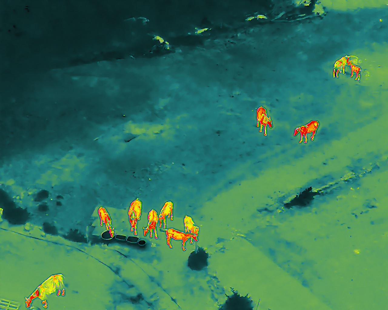 KS aerial works foto 2