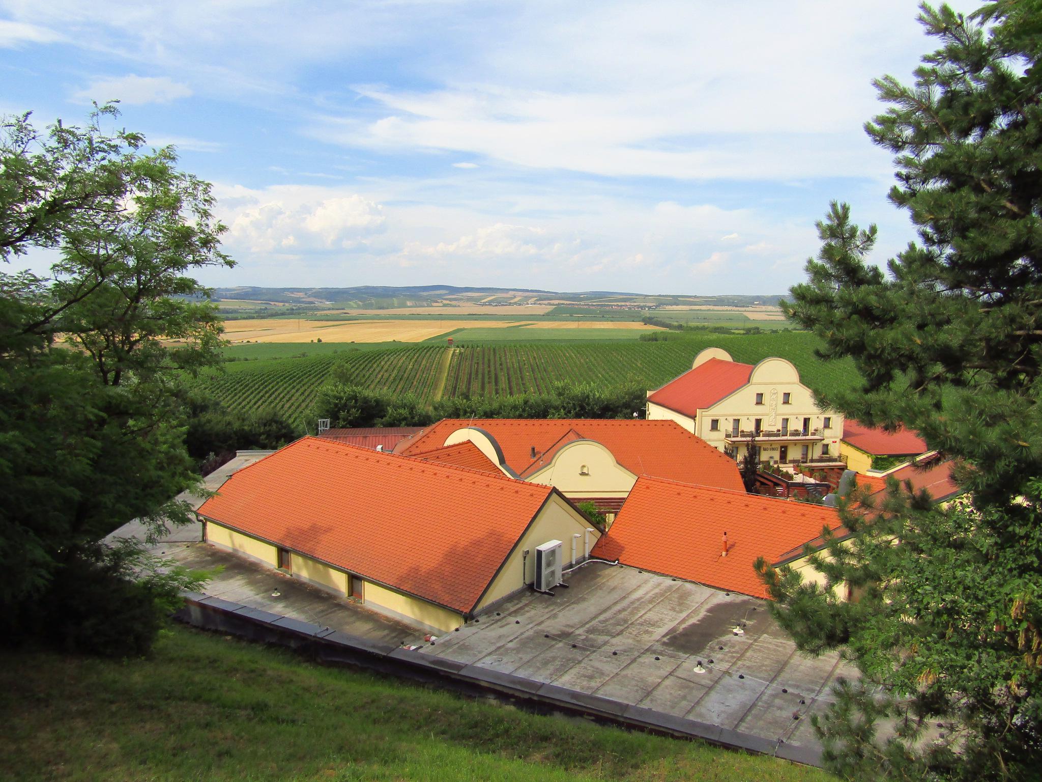Restaurace Retro Gril U Kapličky foto 6