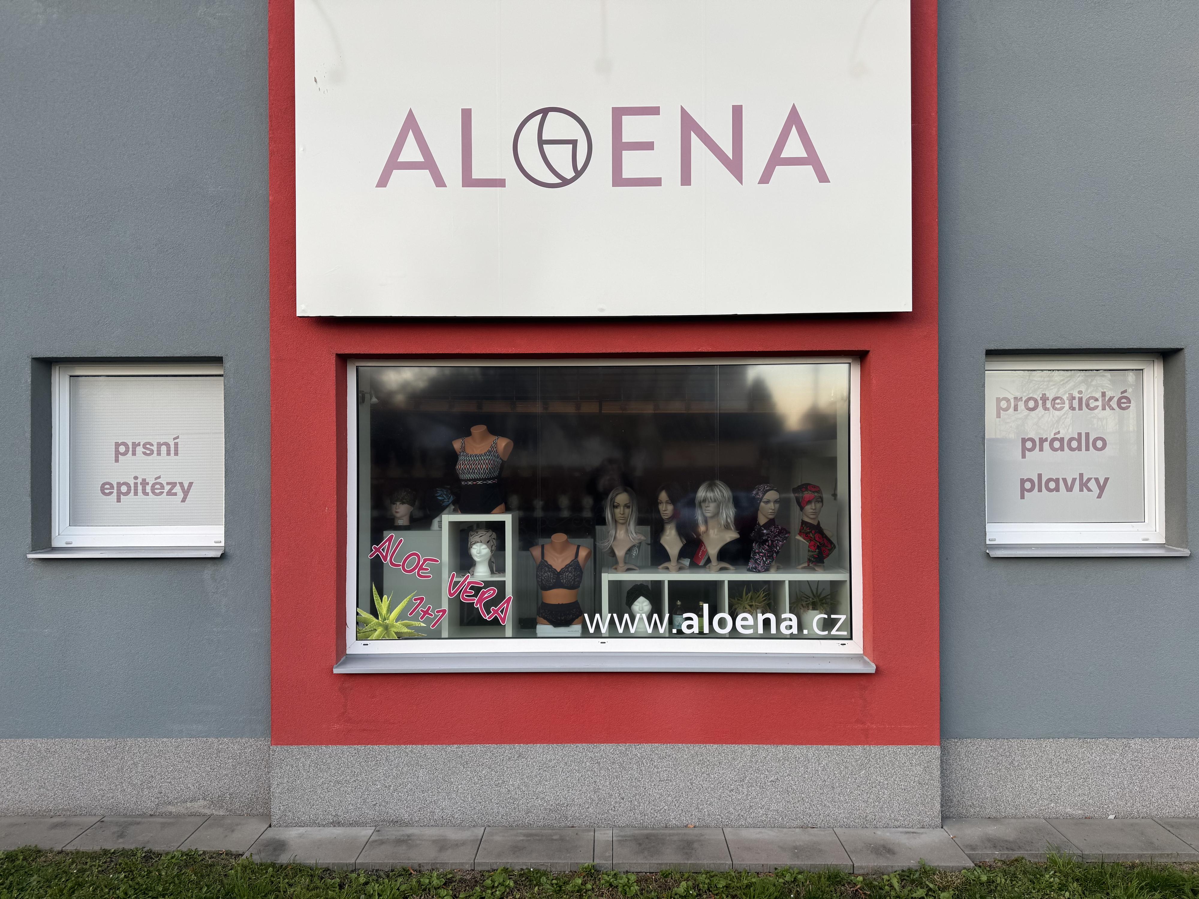 ALoENA – nejen pro onkologicky nemocné foto 2