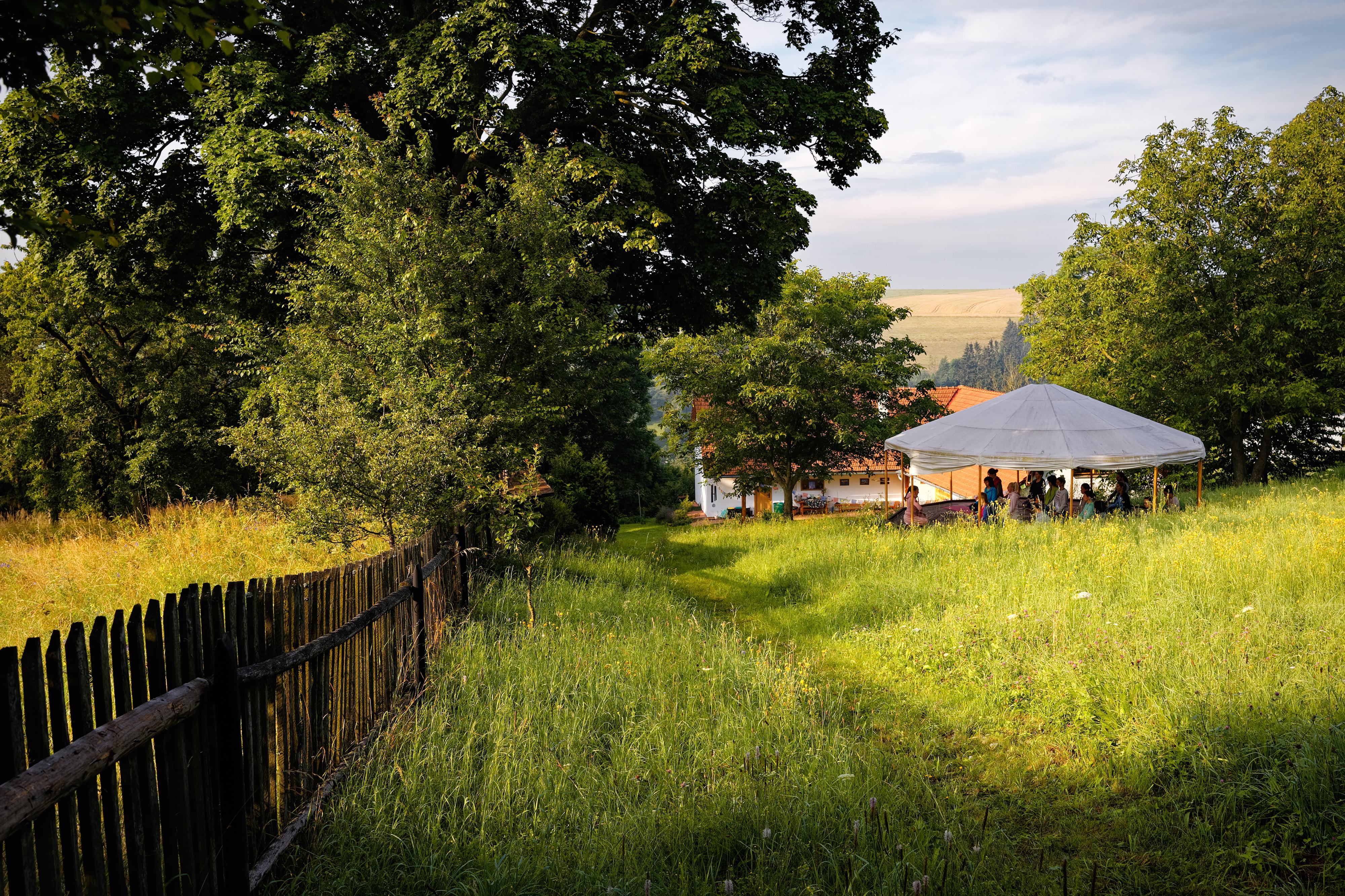 Mgr. Kateřina Rojková - GAIA TREE foto 3