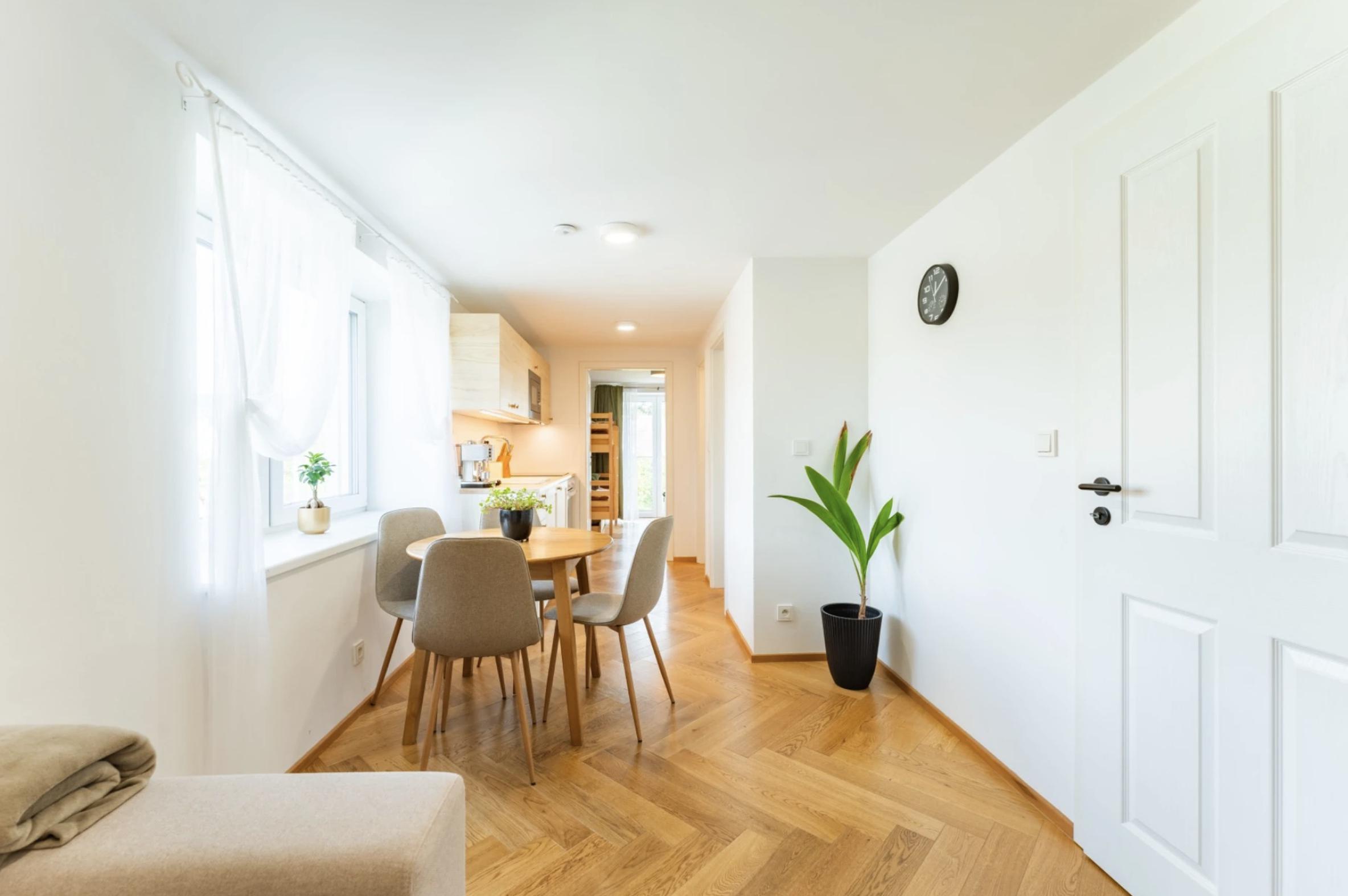 Losinský Apartmán 2+kk, Vila Republika, 42 m2