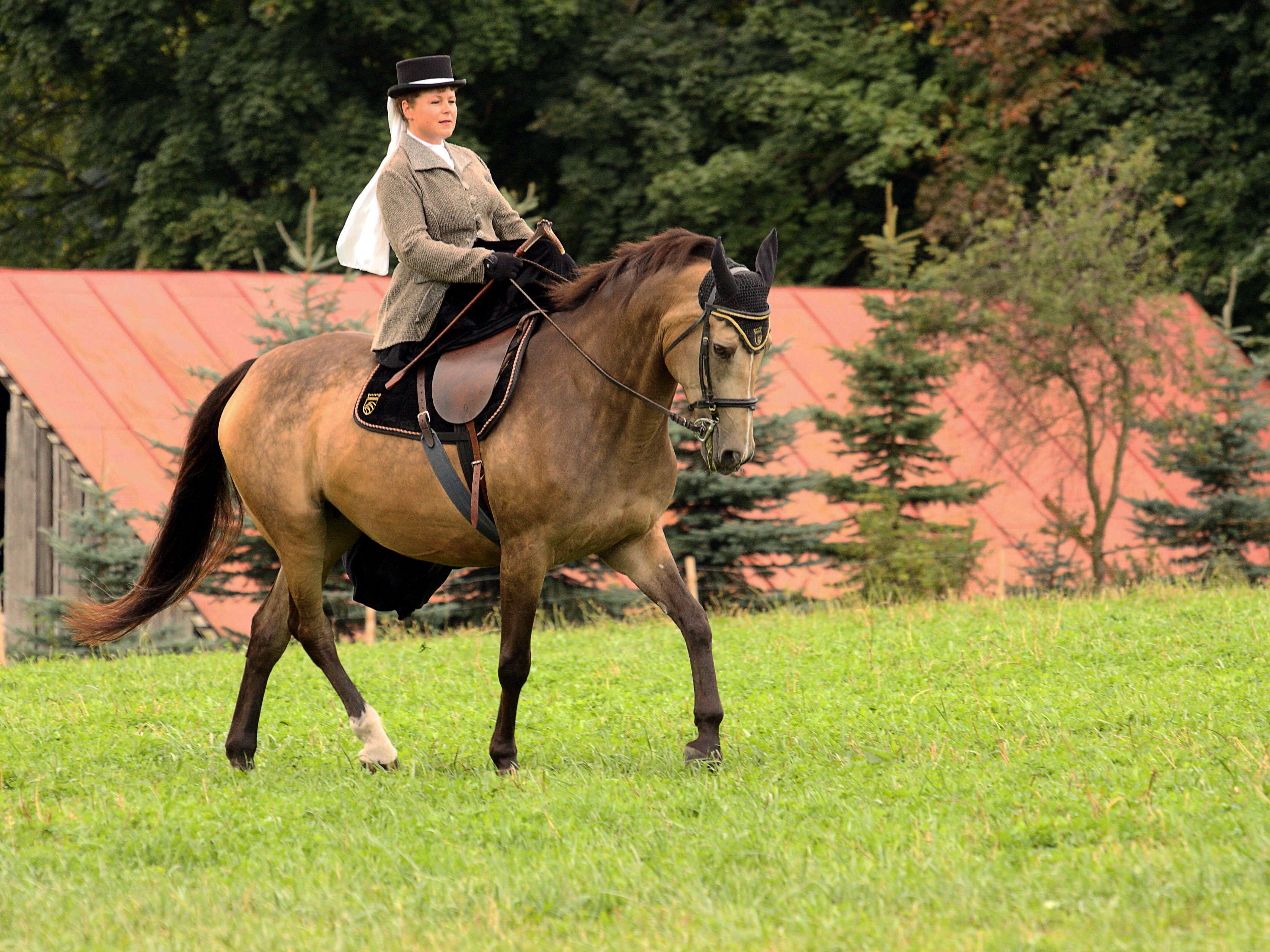 Jezdecká stáj Legacy