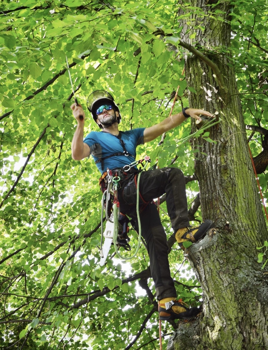Arboristika Prokůpek foto 2
