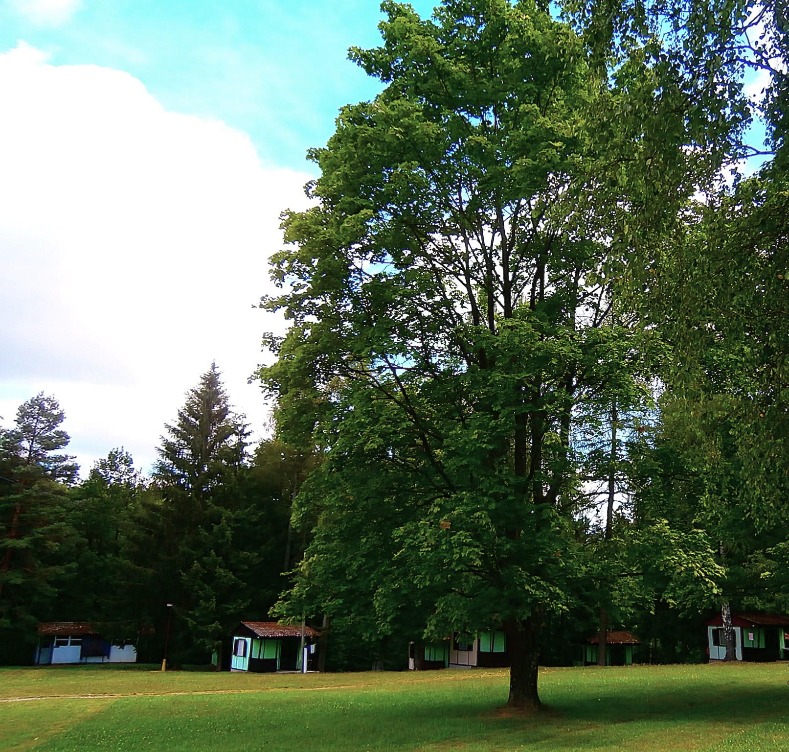 Autocamp U Skalníků foto 6