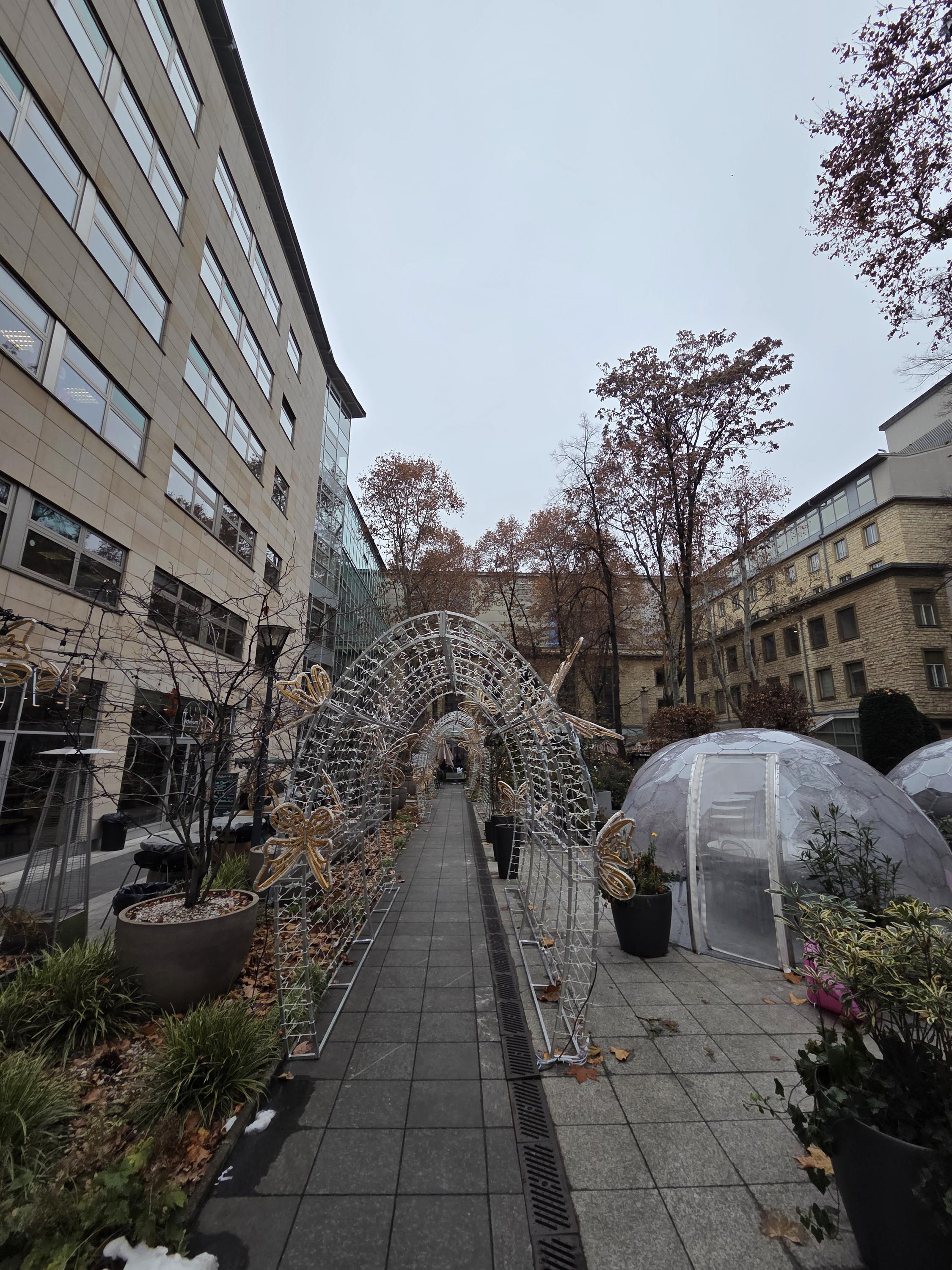 Crystal Gardens foto 4