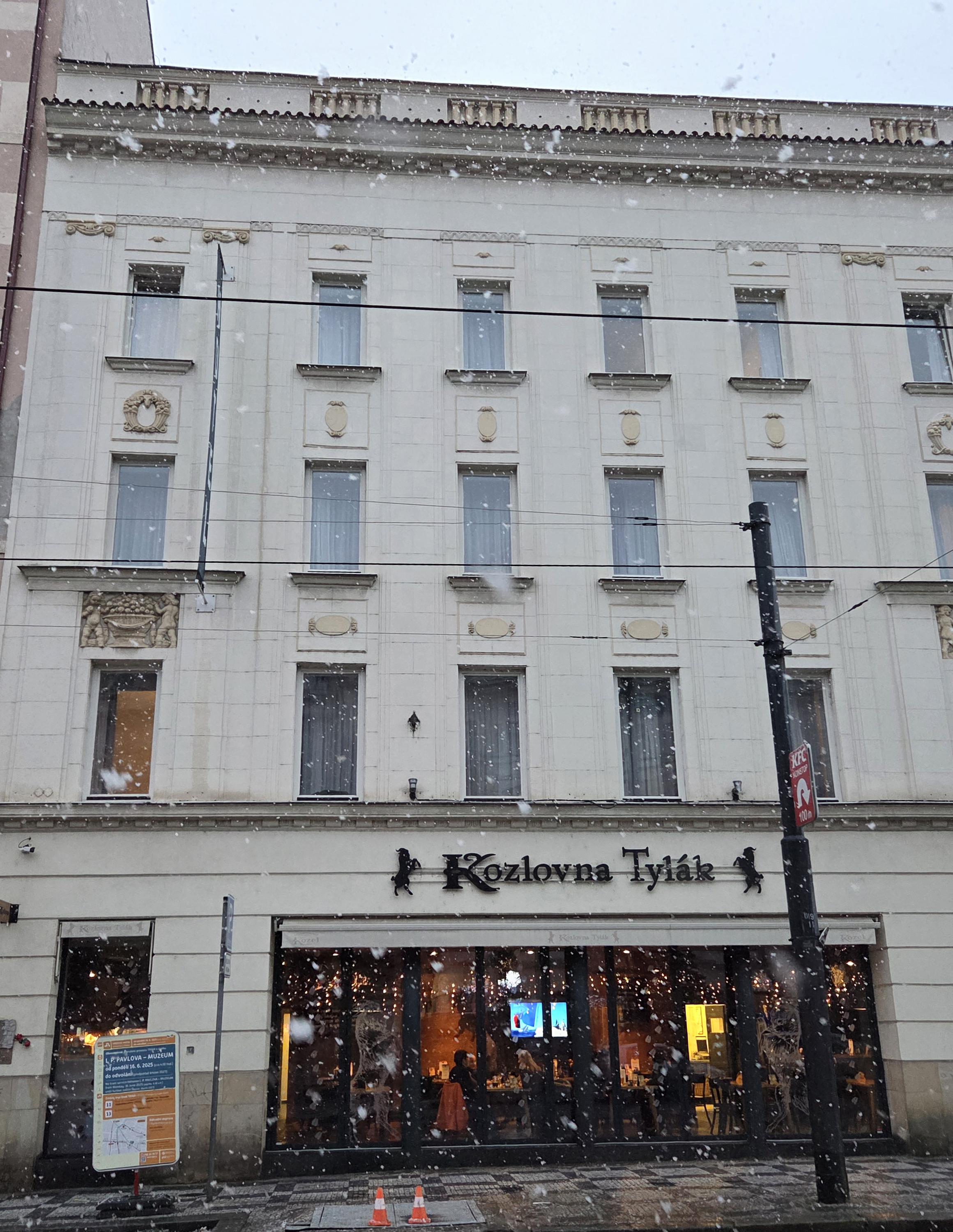 Kozlovna Tylák foto 3