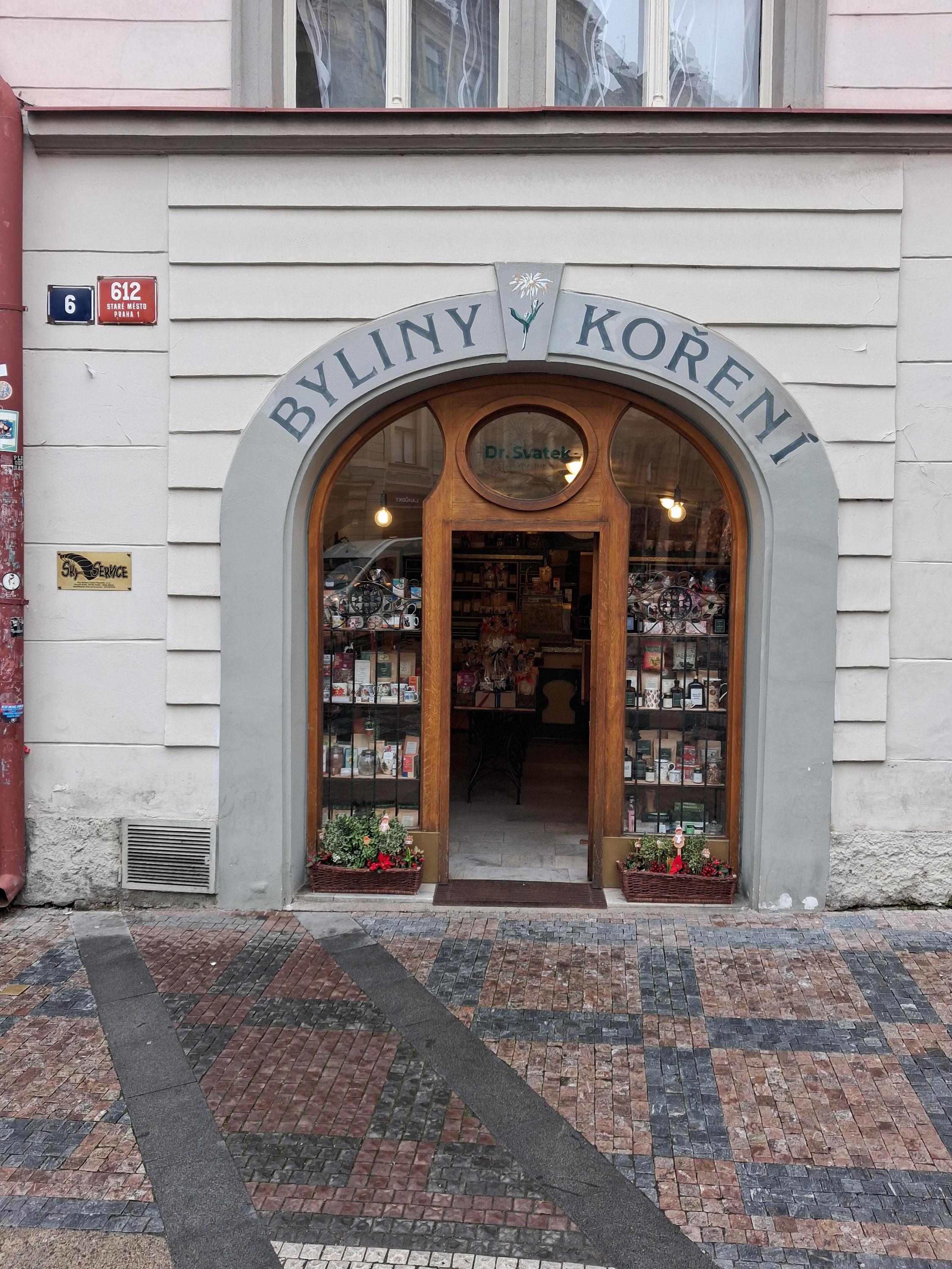 Dr. Svatek foto 2