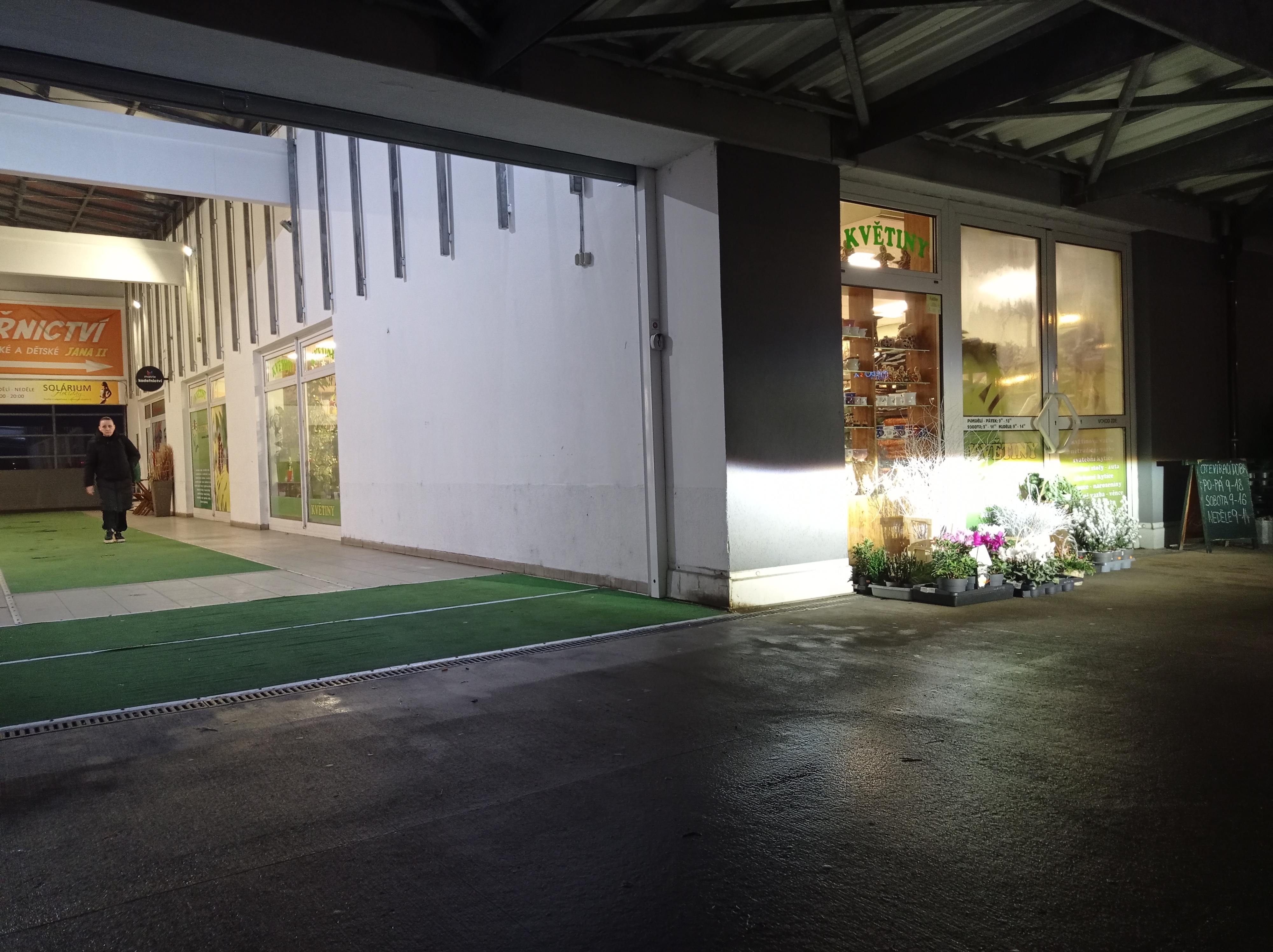 Květiny Jaroslava Lindová foto 2