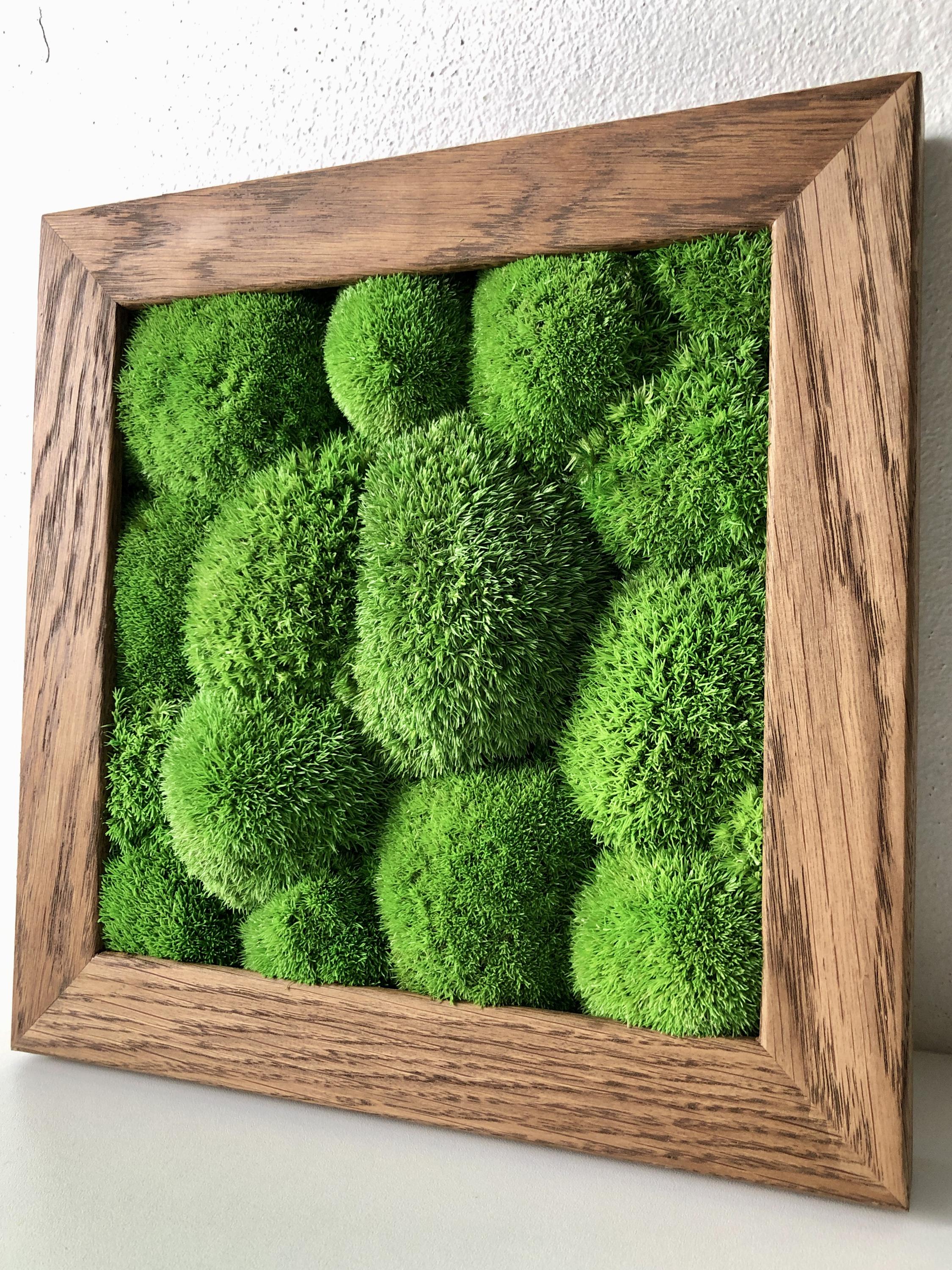 MECHOVÉ OBRAZY - MgA. Lucie Tomis foto 2