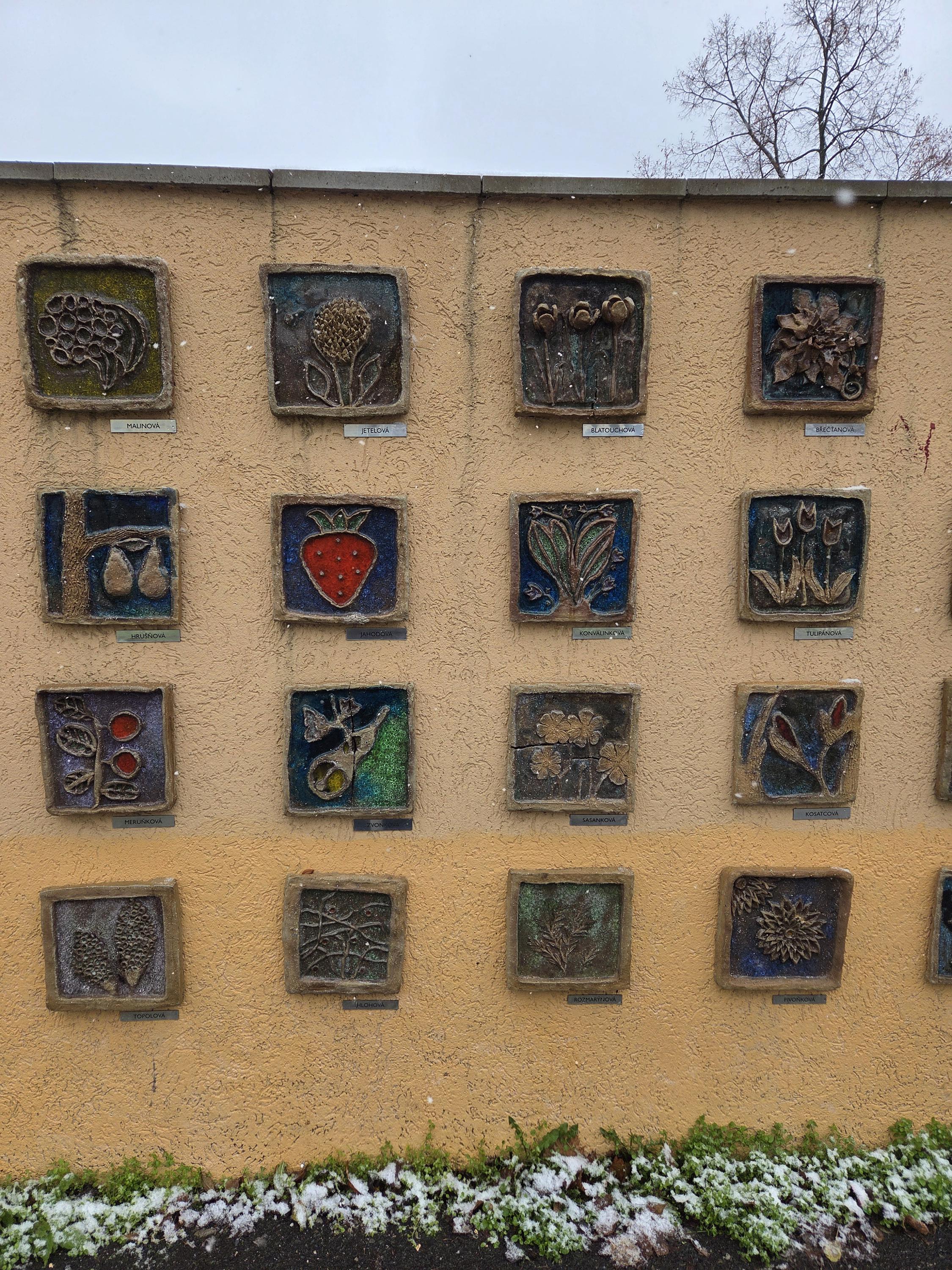 Základní škola, Praha 10, Břečťanová 2919/6 foto 3