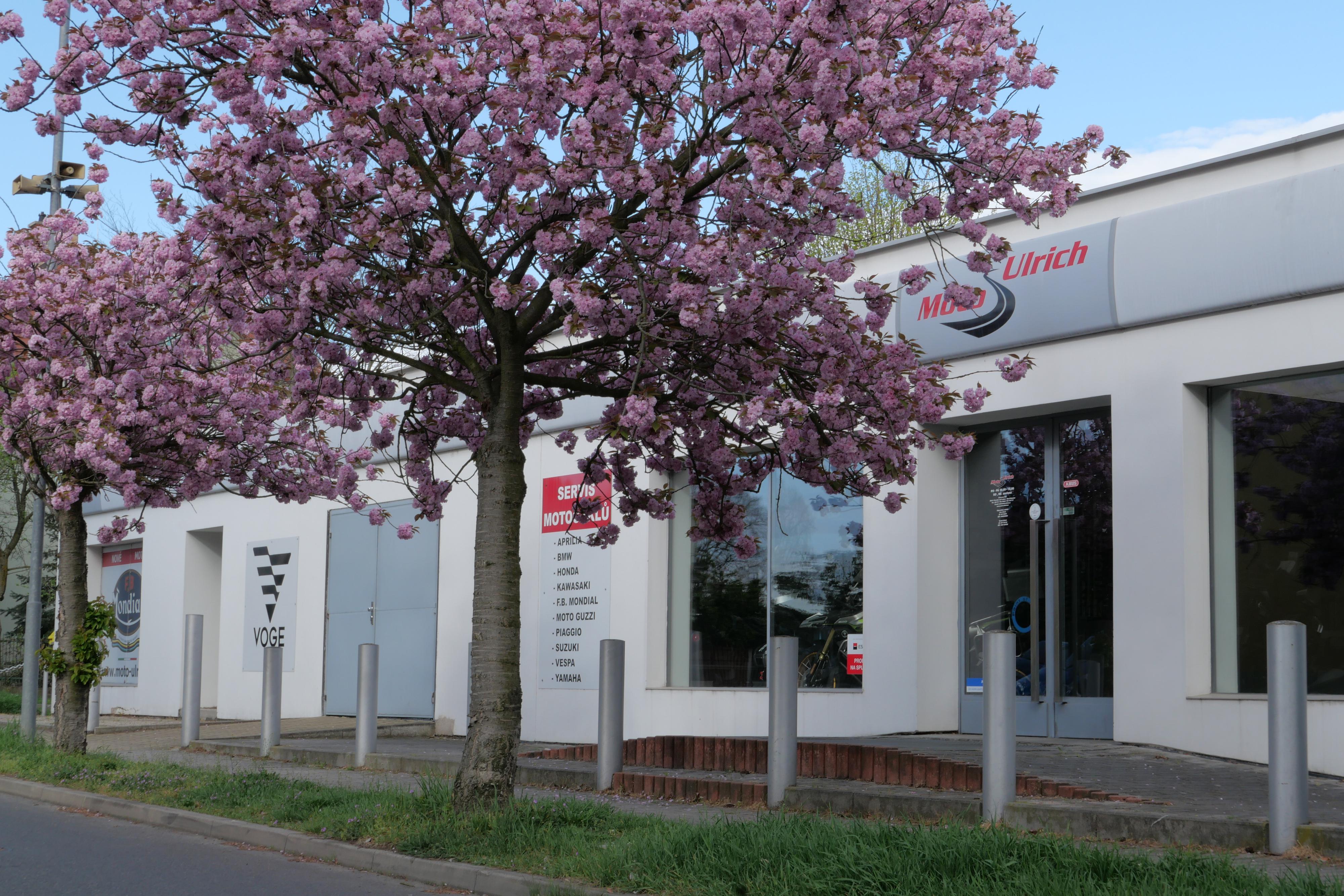 Moto-ulrich.cz foto 2