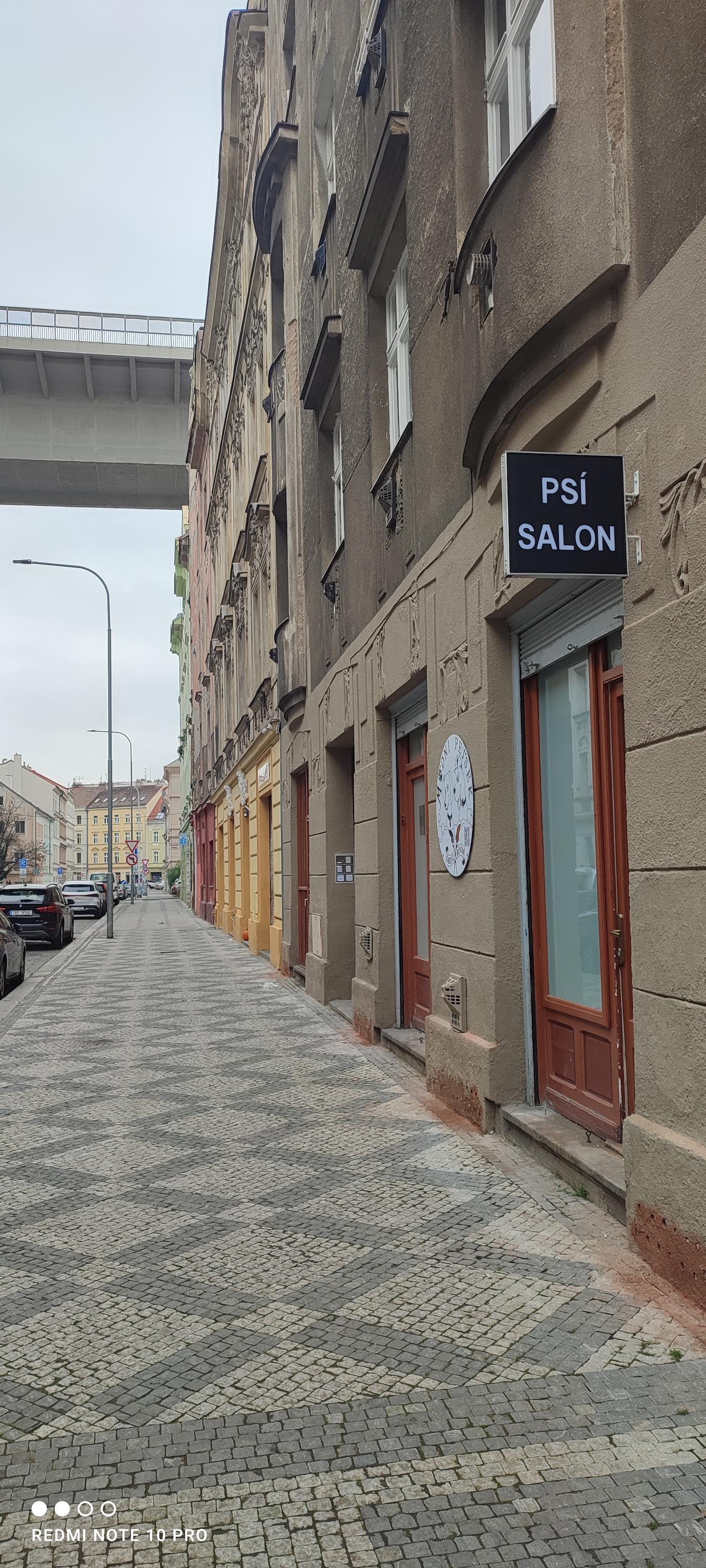 Psí salon Módní pejsek foto 5