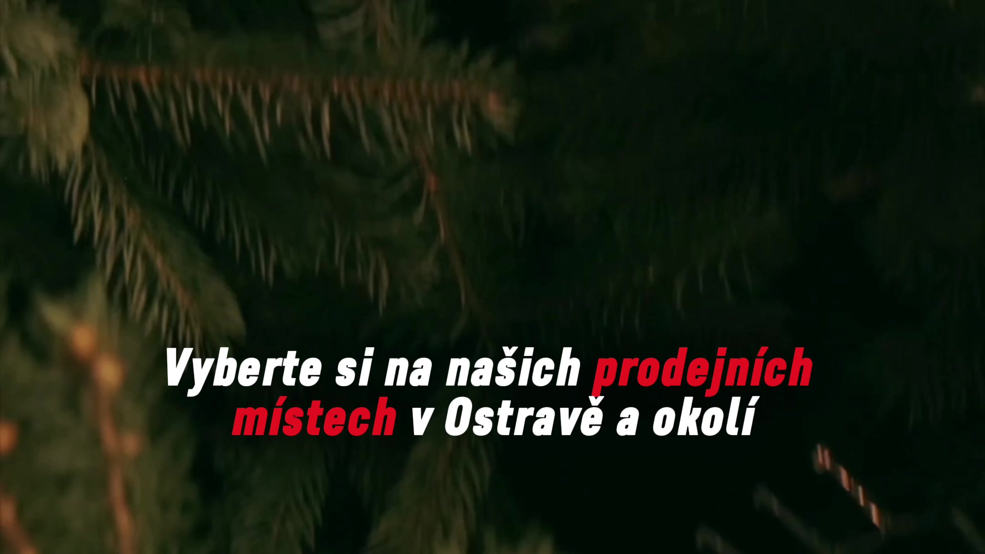 Milan Šrotek foto 2 (náhled videa)