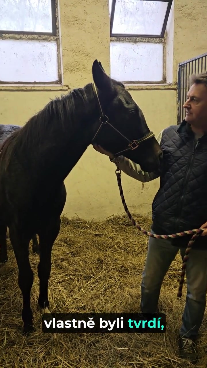Horsebeat foto 2 (náhled videa)