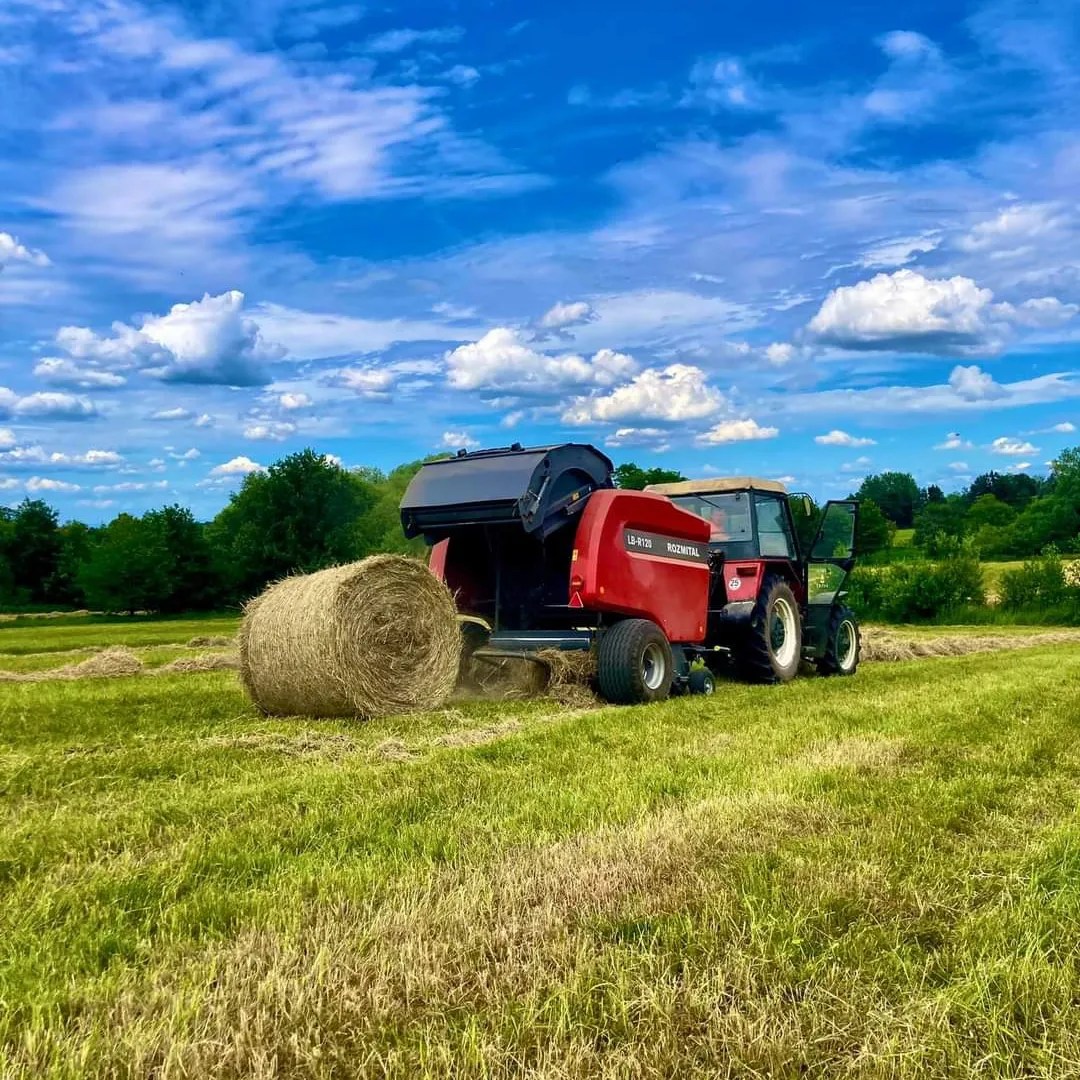 Zemědělské družstvo Podlipan Vitice, družstvo foto 4