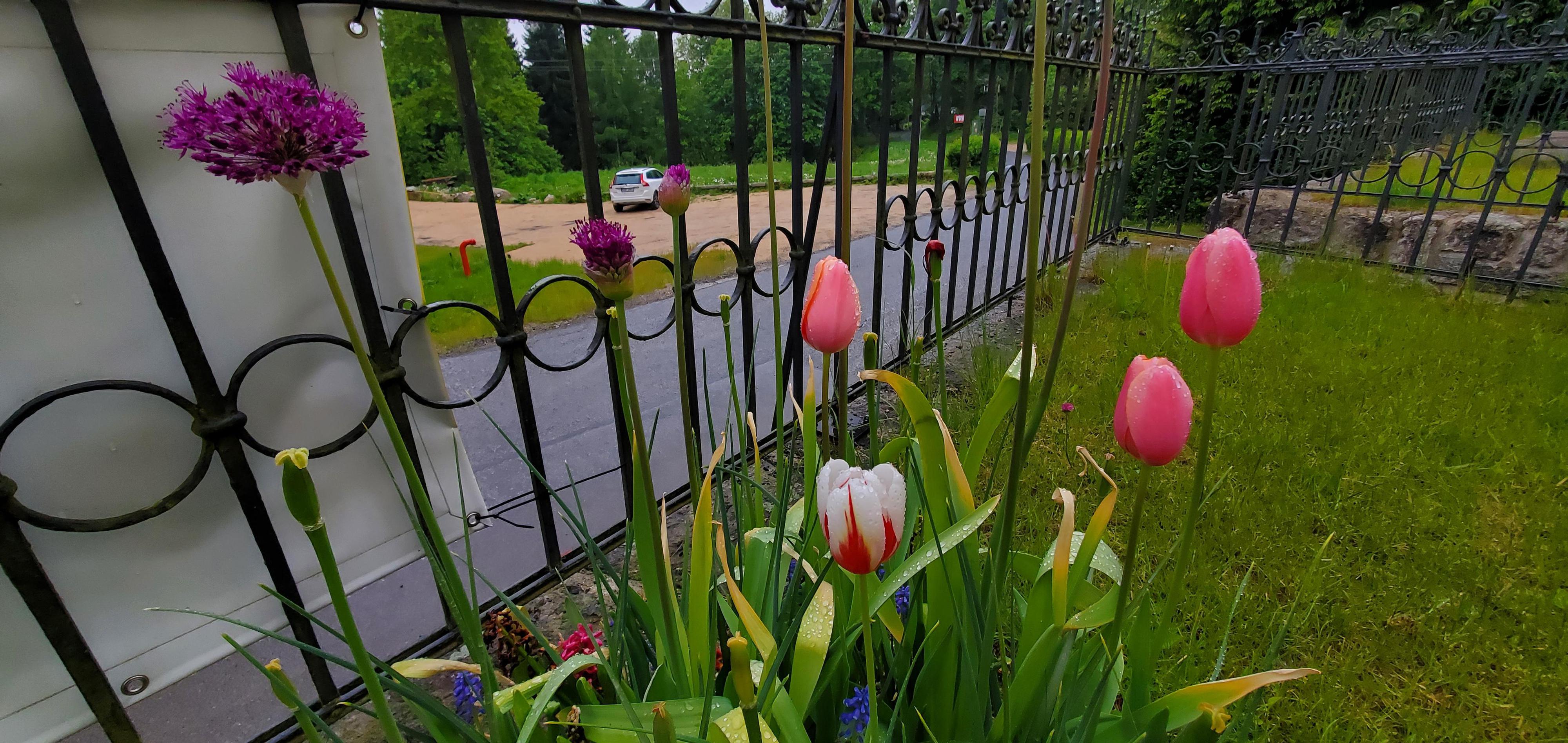 Stará Škola Mariánská foto 3