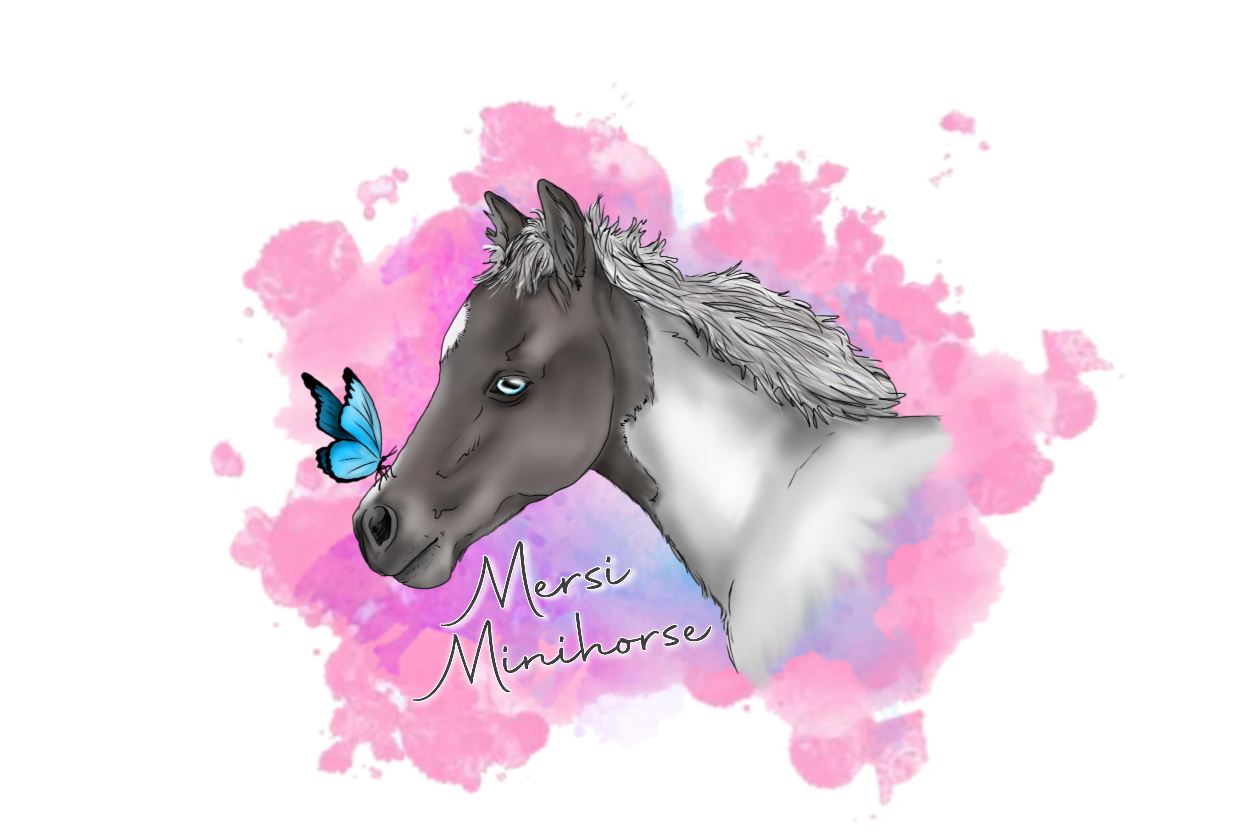 Minihorse Mersi foto 2