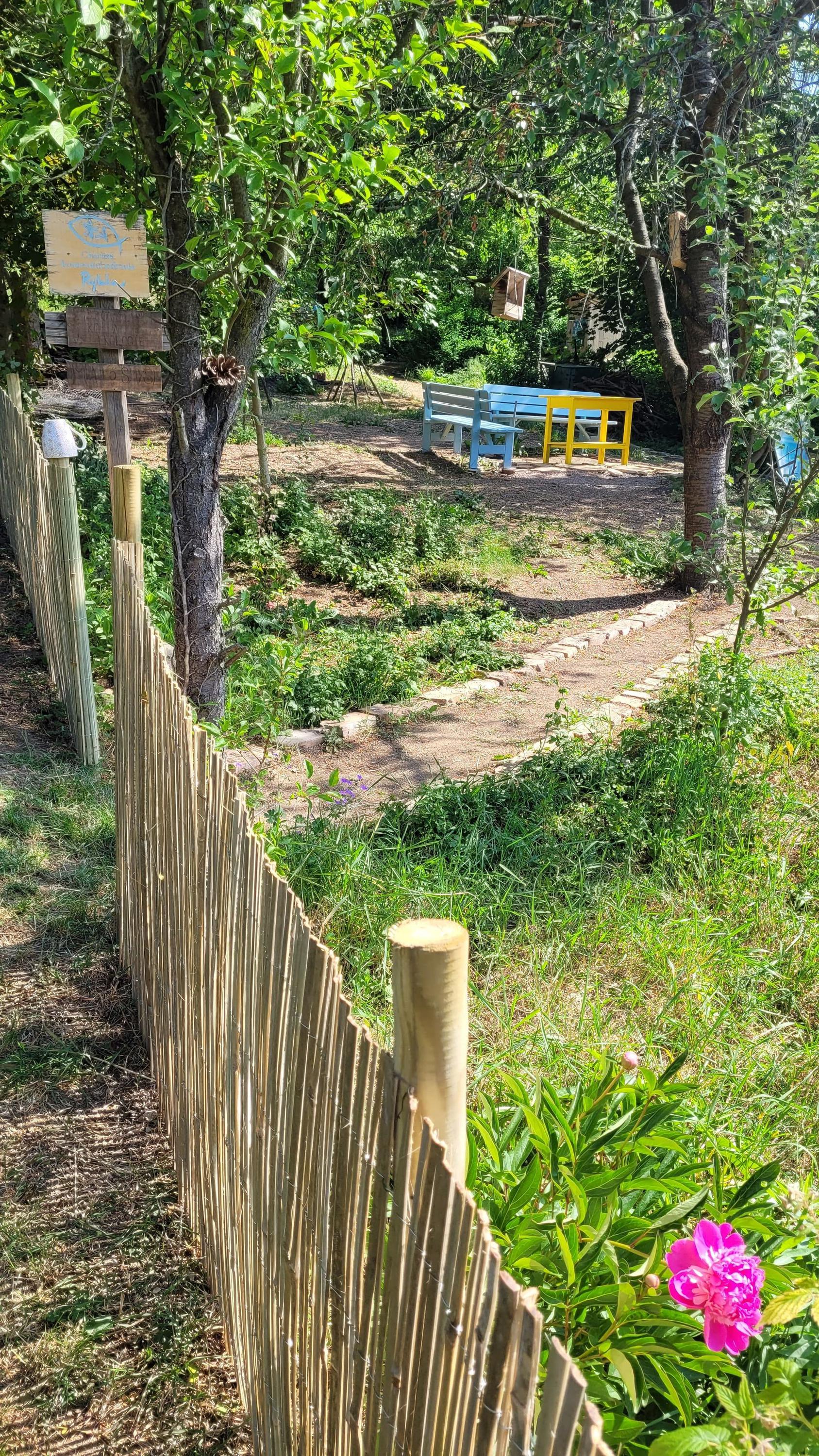 Komunitní zahrada Rybka foto 3