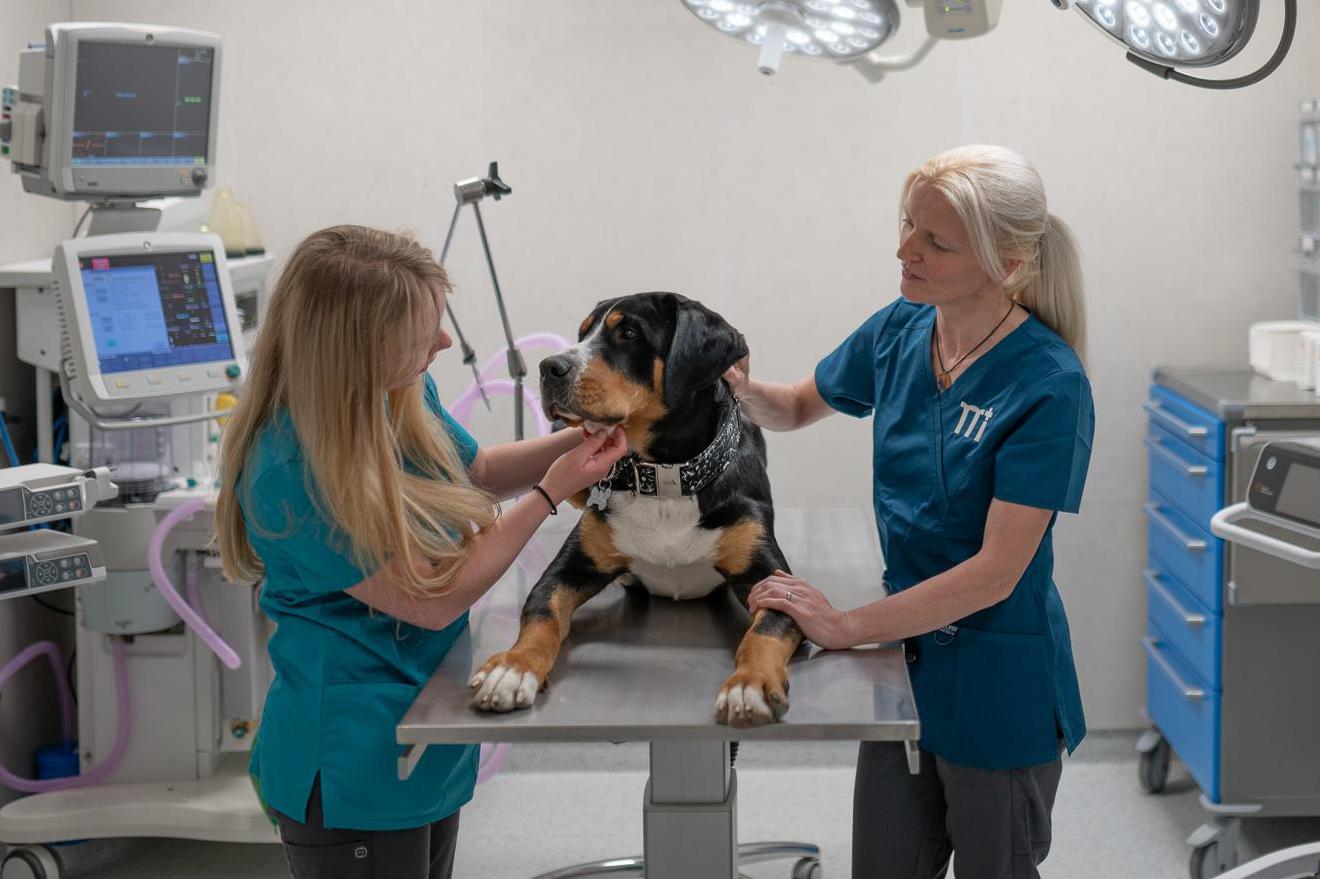 Nonstop pohotovost 24/7