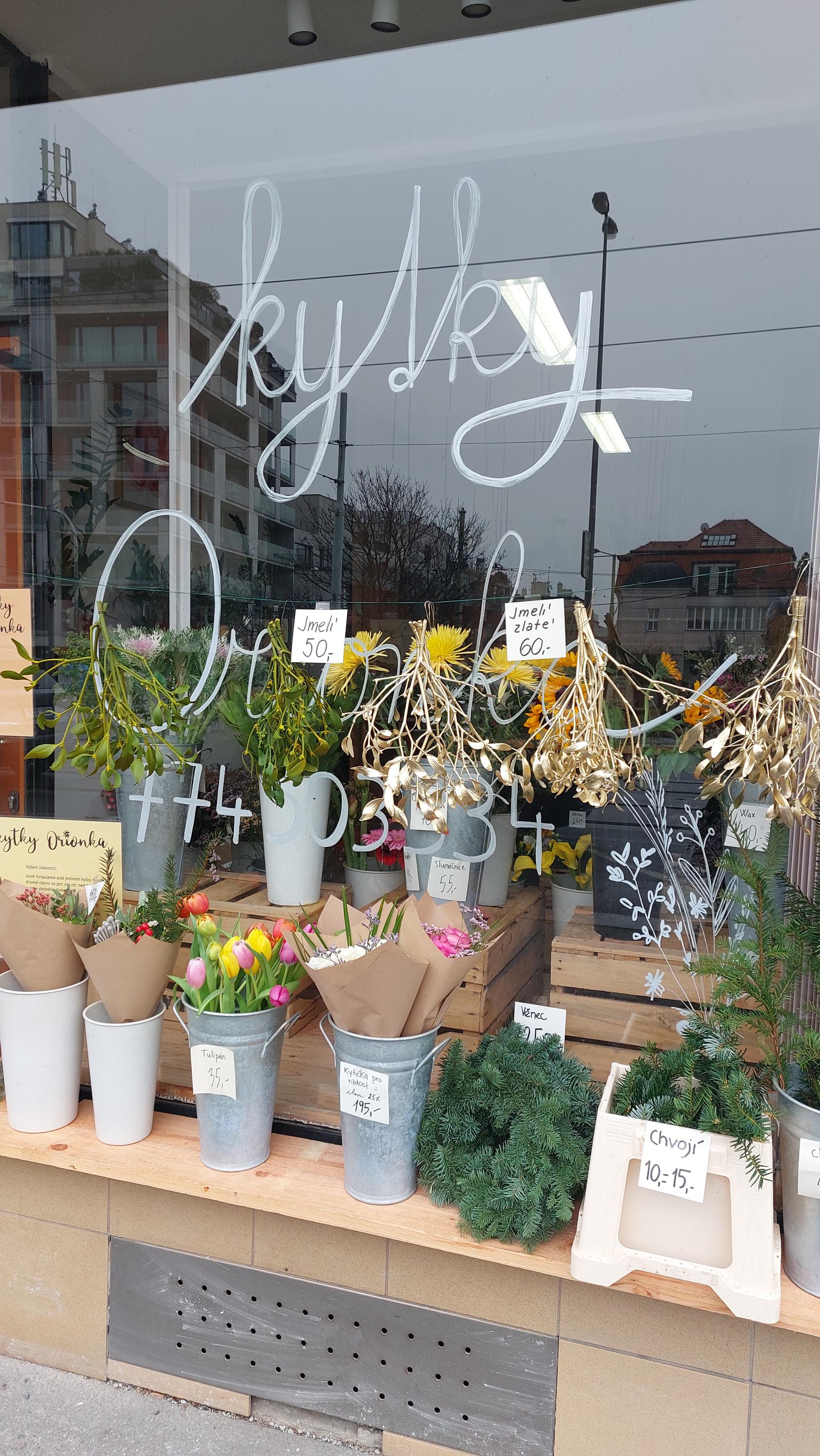 Kytky Orionka foto 5