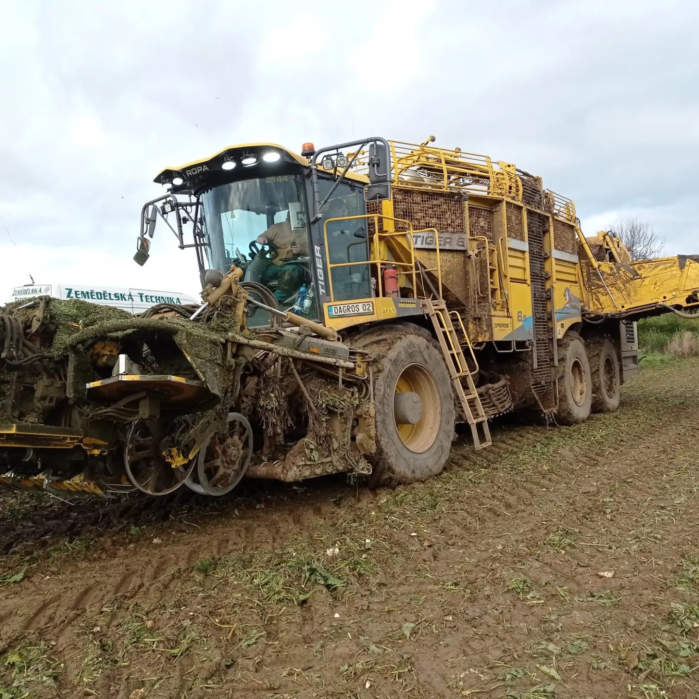 Zemědělské družstvo Podlipan Vitice, družstvo foto 3