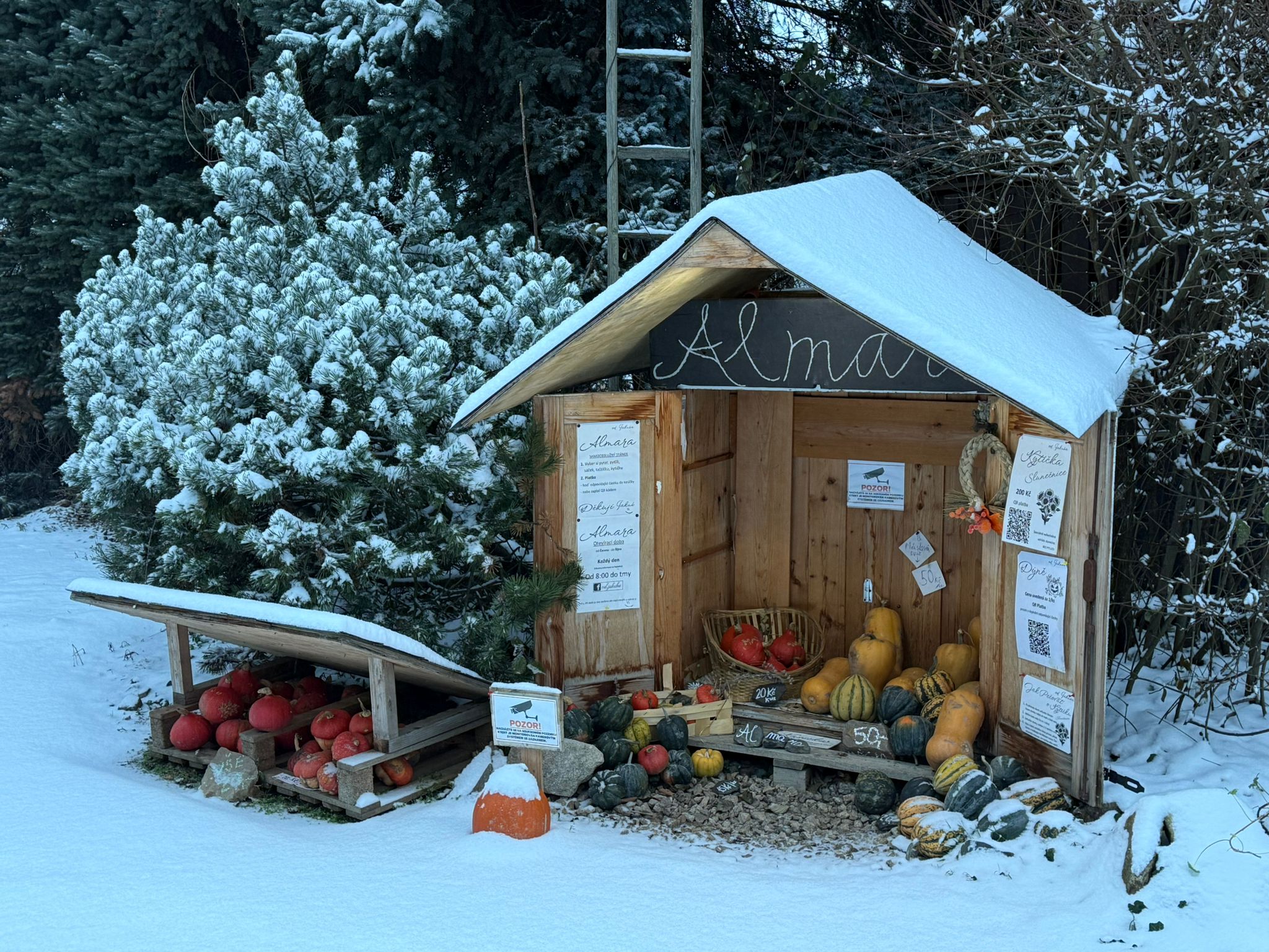 Almara Od.Jakuba foto 5