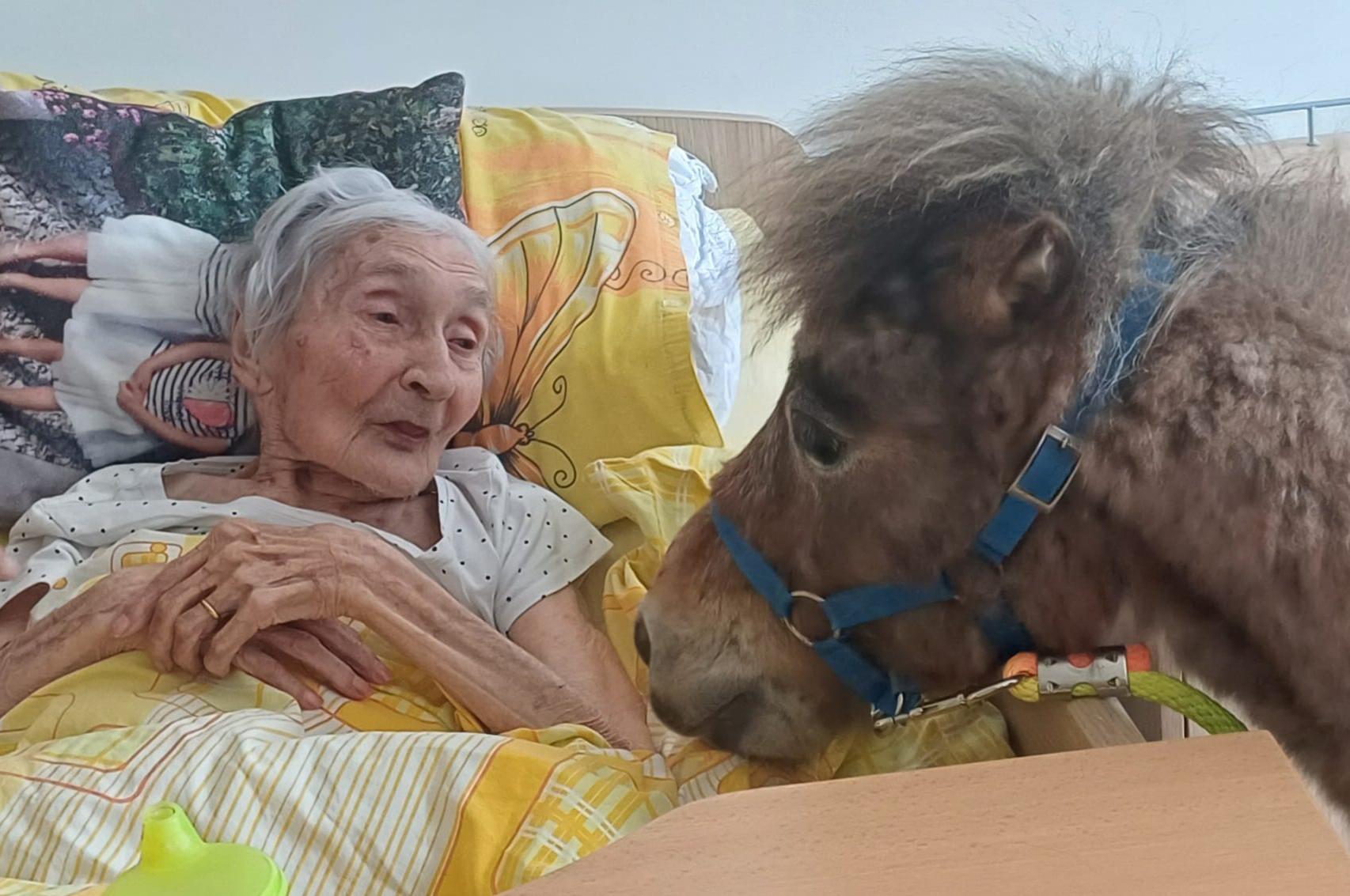 Setkávání se zvířátky, z.s.