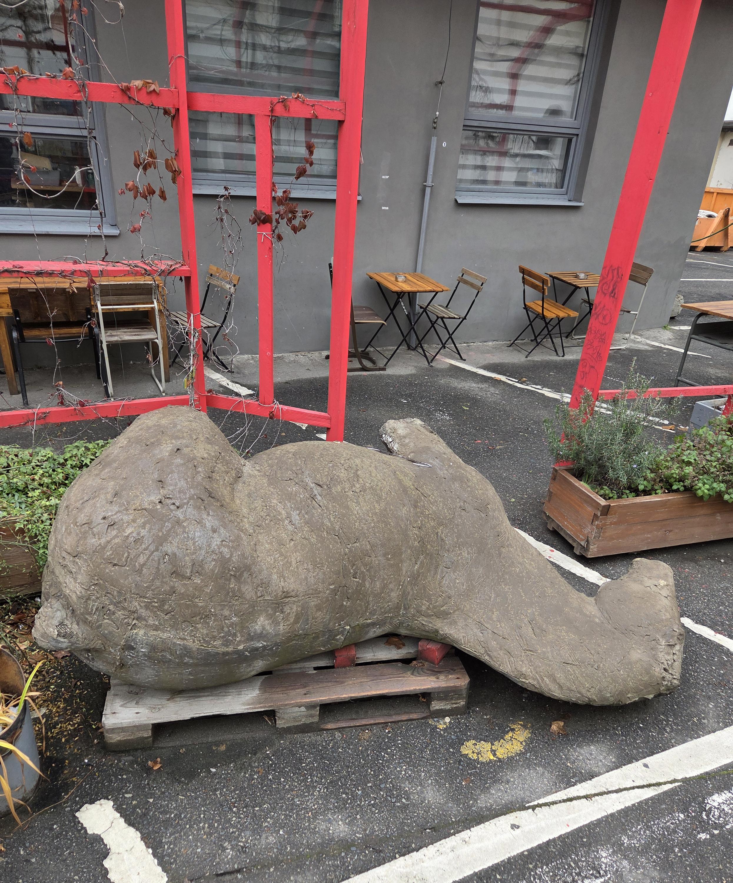 Kavárna Kampus foto 2