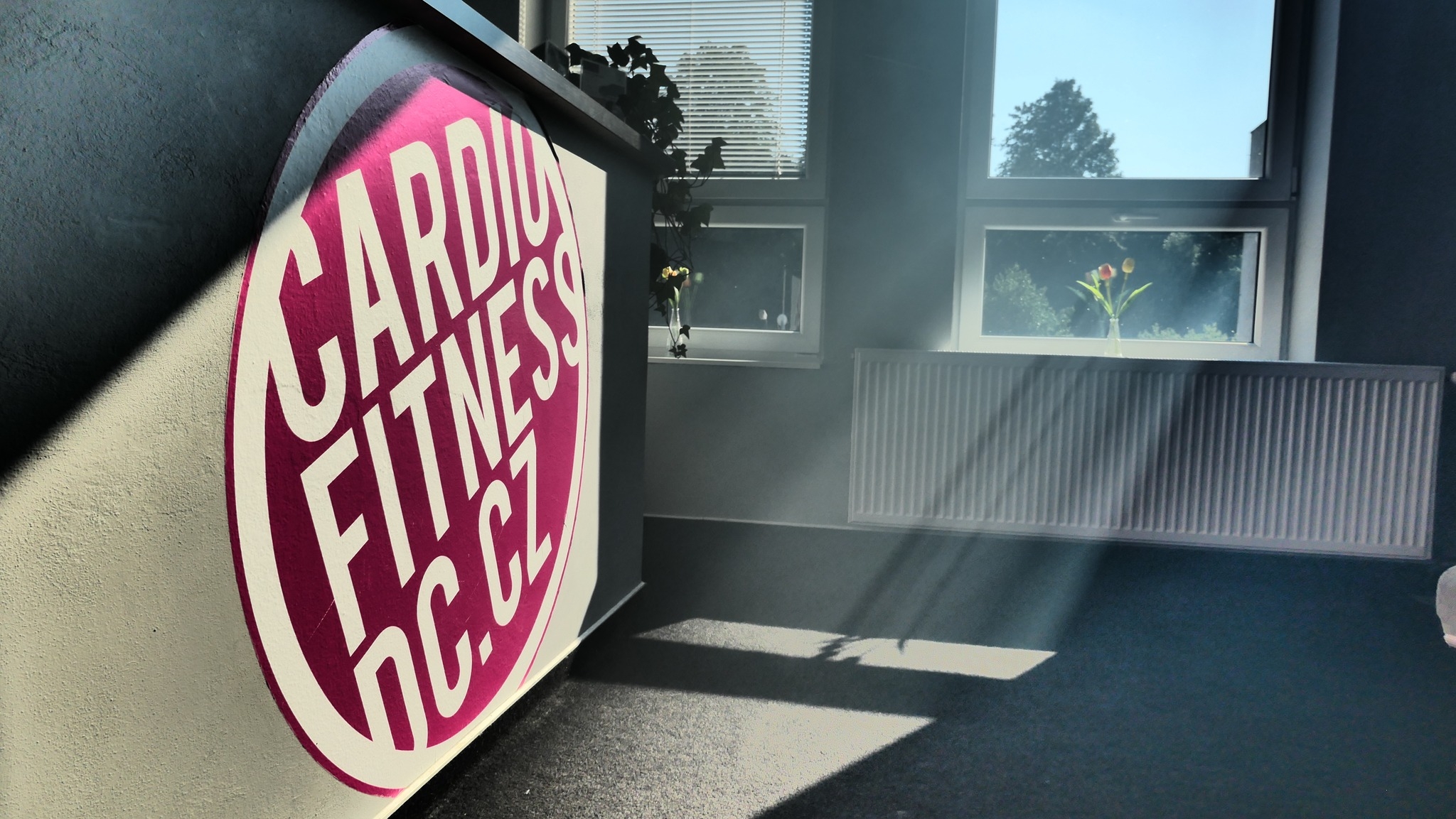 Cardio Fitness Děčín foto 1