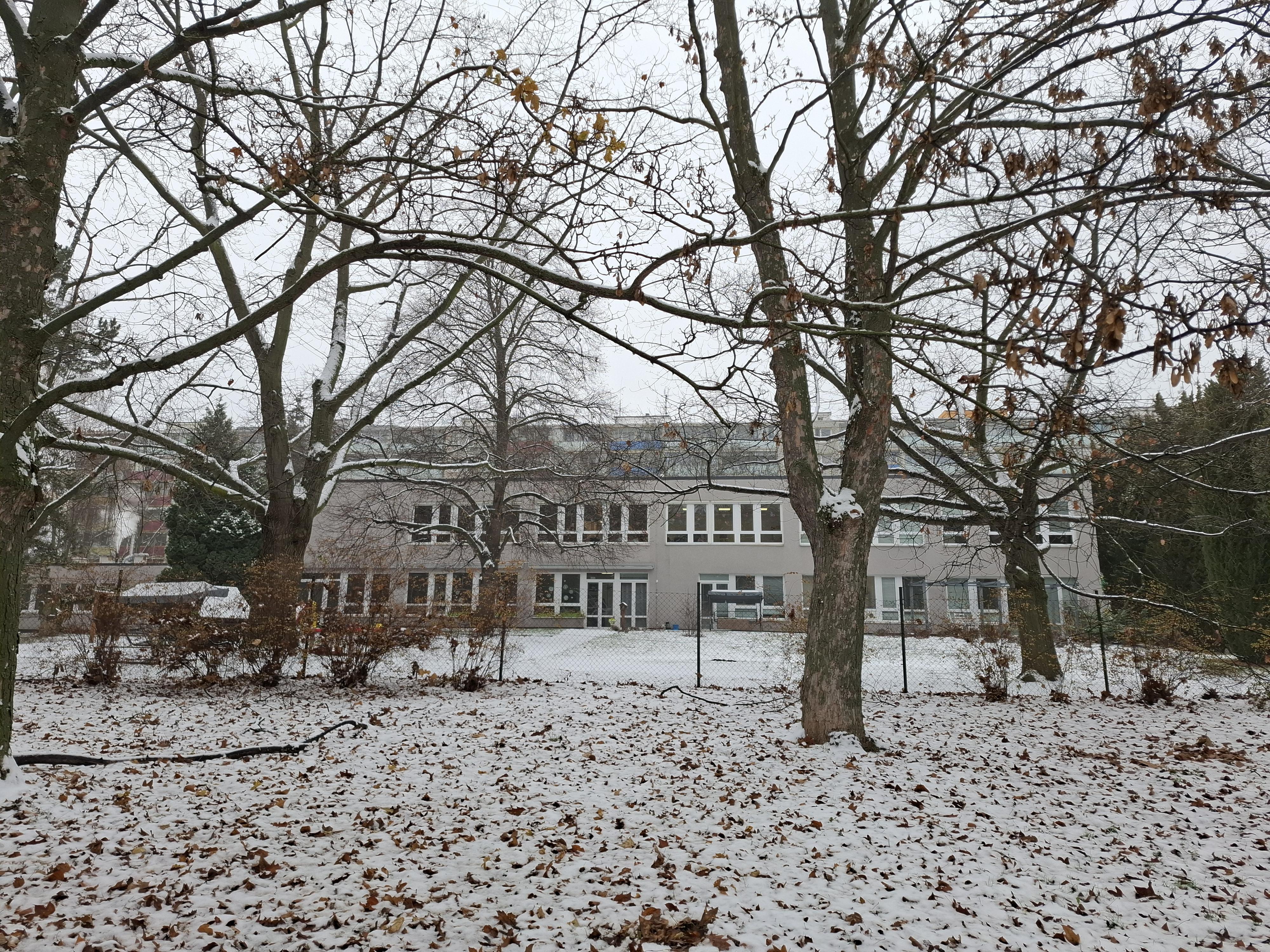 Vývojové poruchy s.r.o.