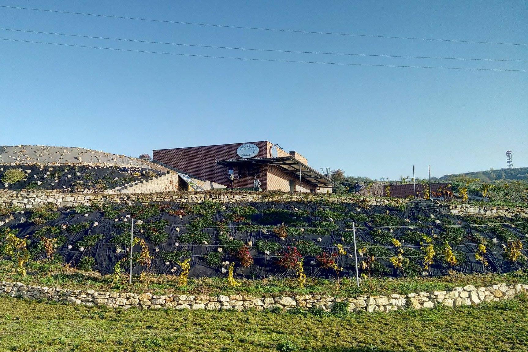 Vinařství Šabata s.r.o.