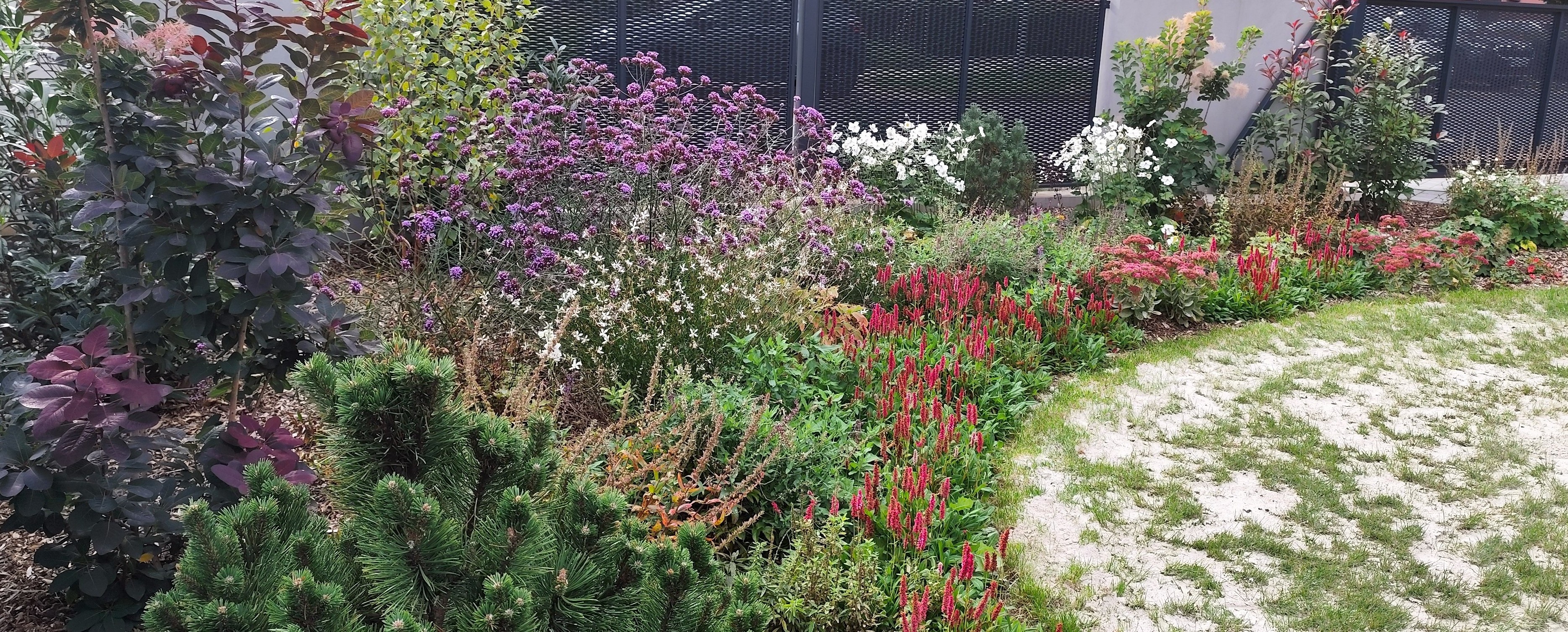 Realizace a údržba zahrad Lucie Průchová foto 4